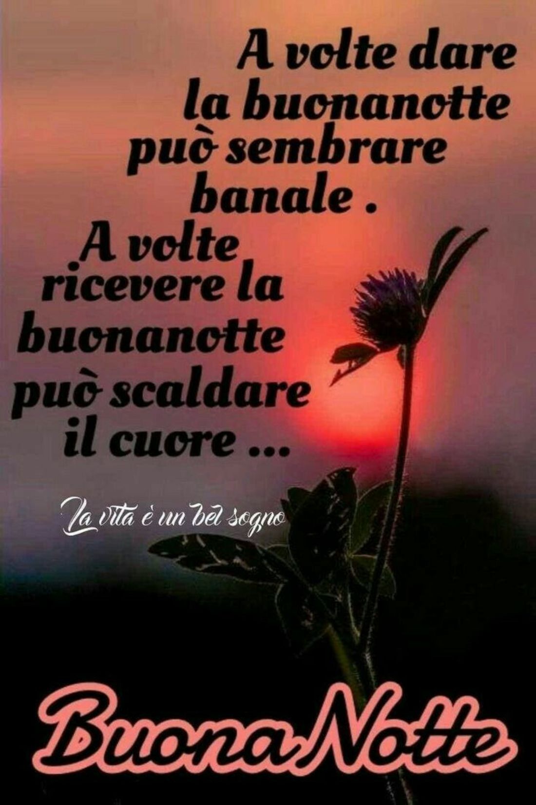 Frase di Buonanotte