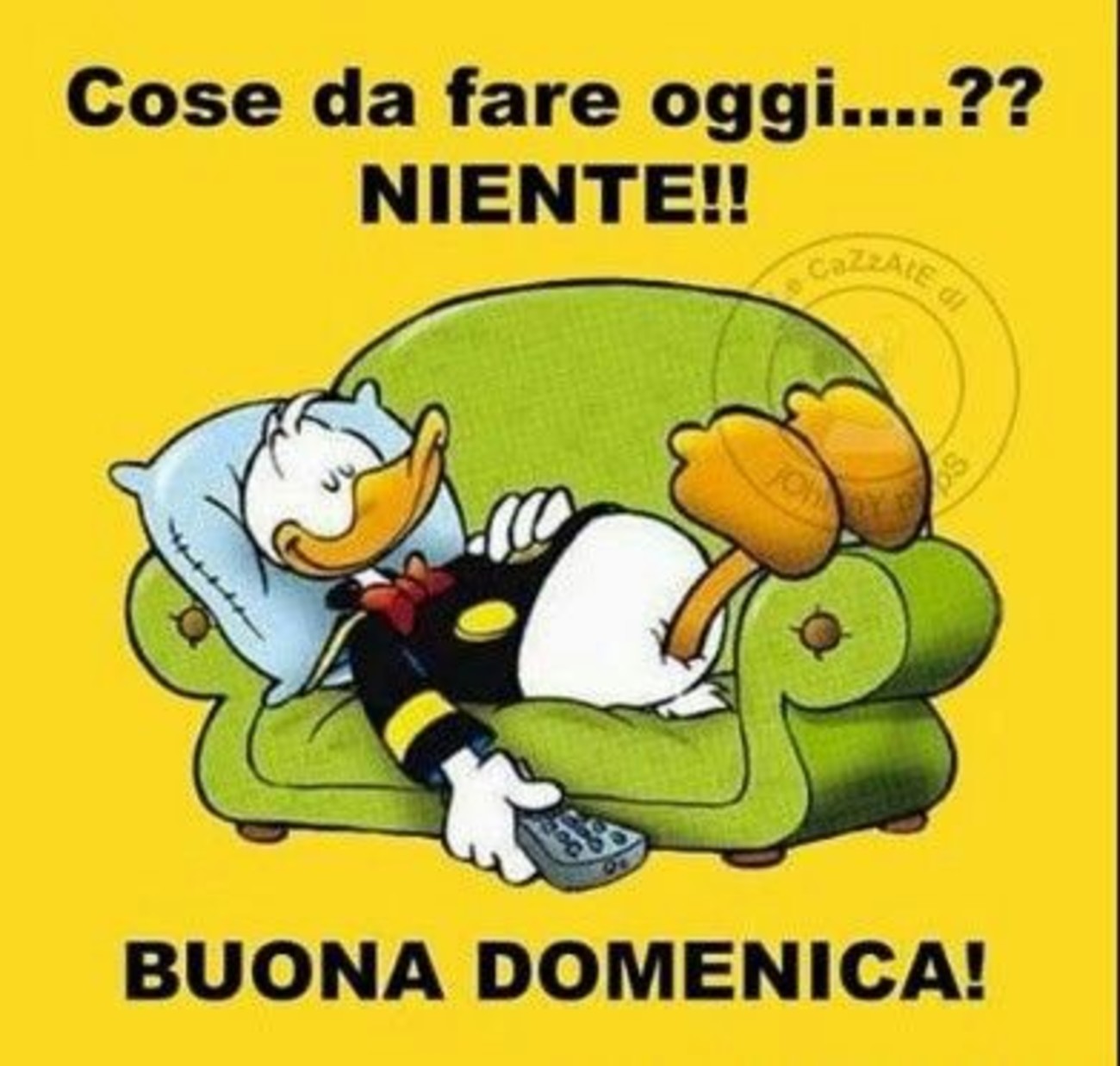 Cose da fare oggi ...?? NIENTE! BUONA DOMENICA