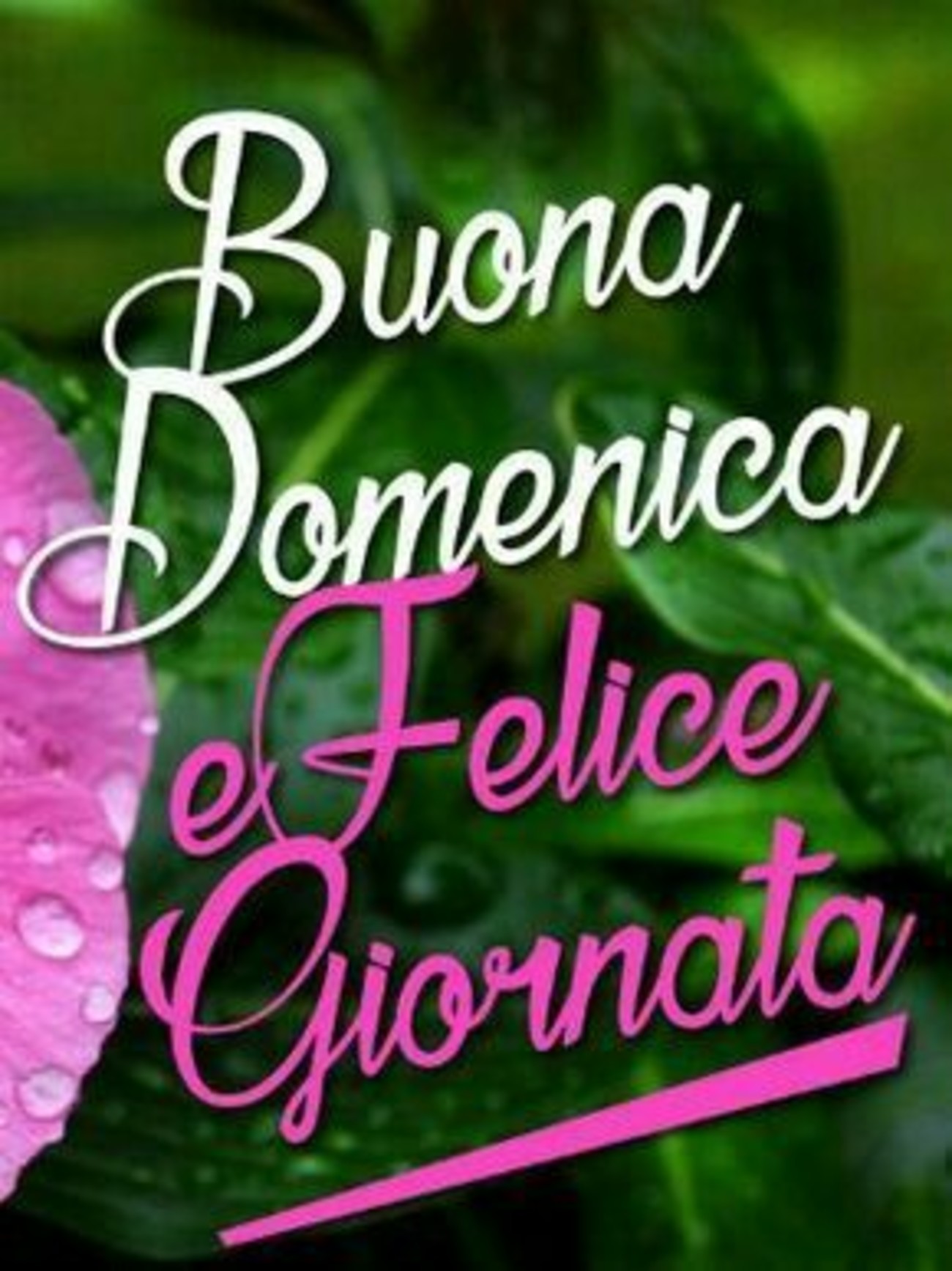 Buona Domenica e Felice Giornata