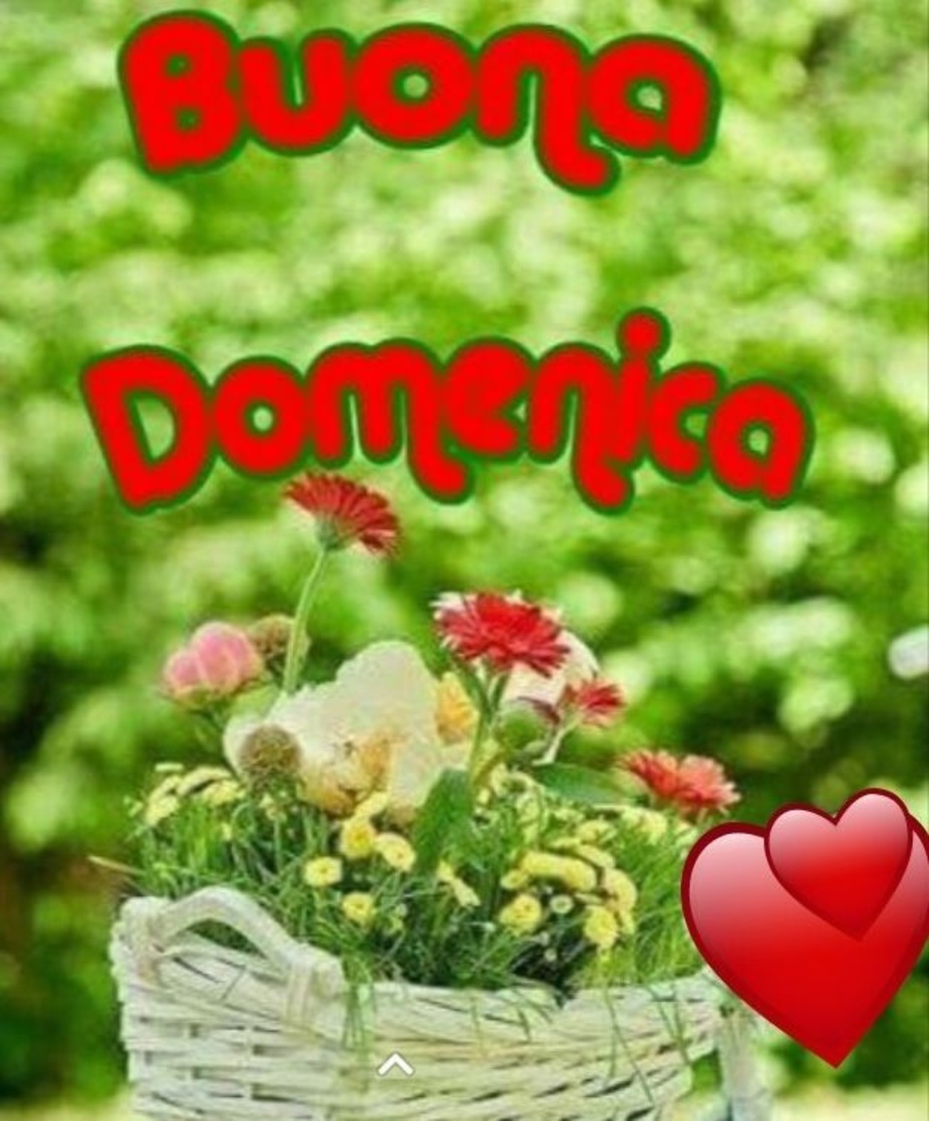 Buona Domenica