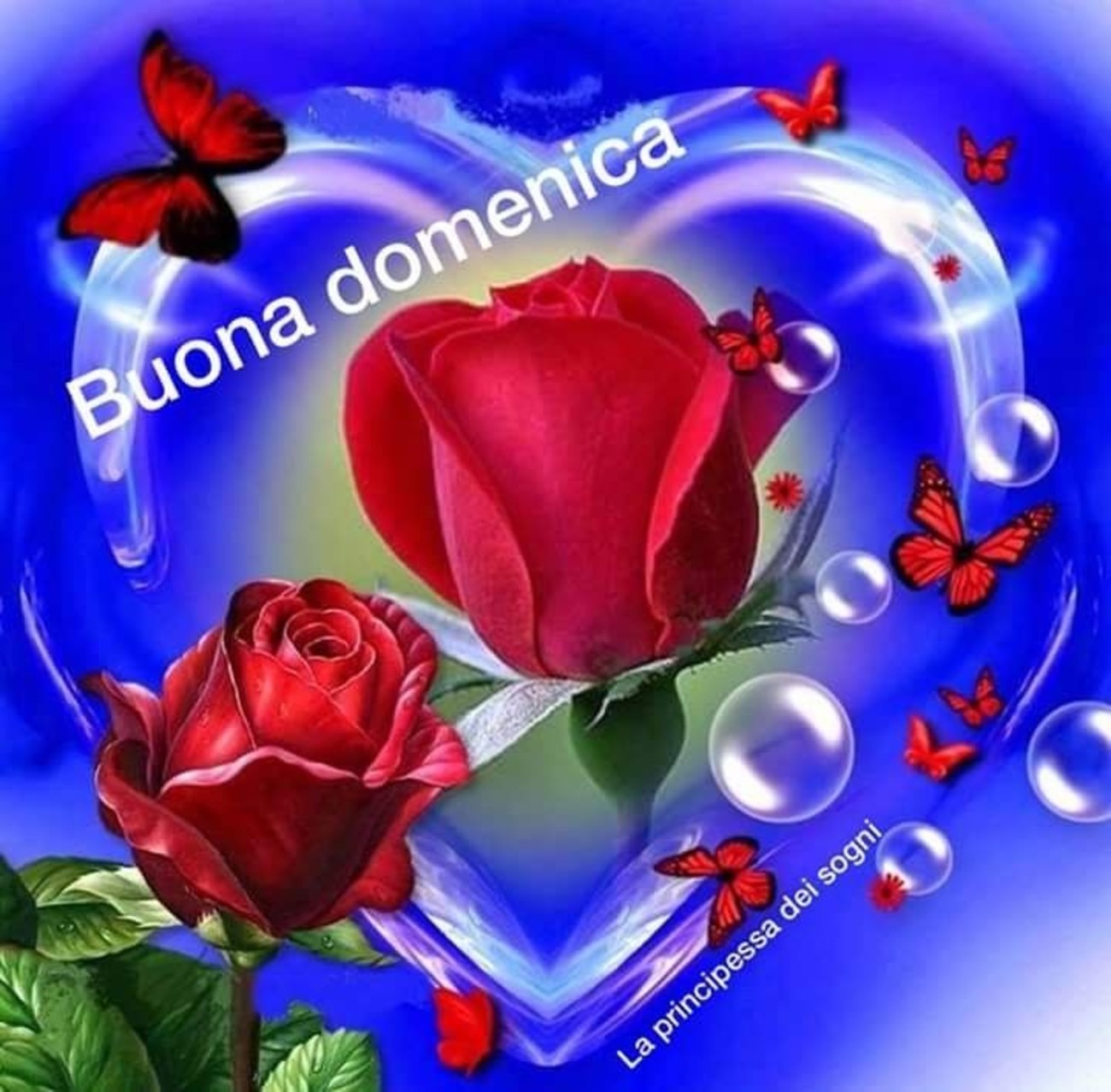 Buona Domenica amore