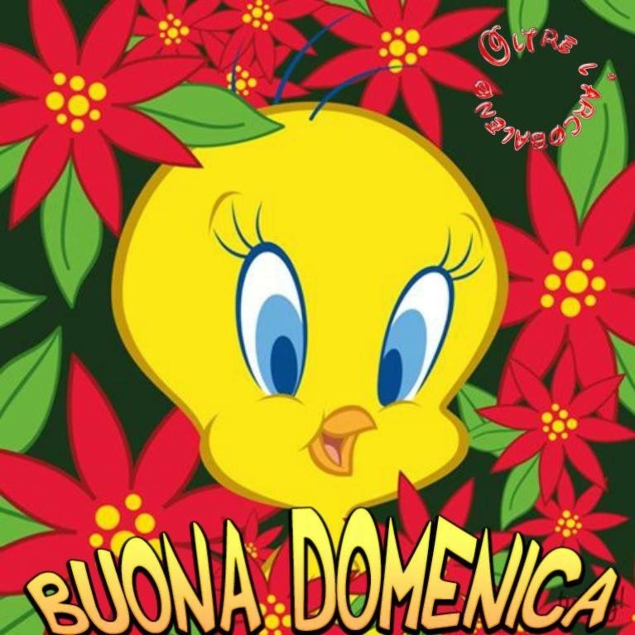 Buona Domenica da Titti