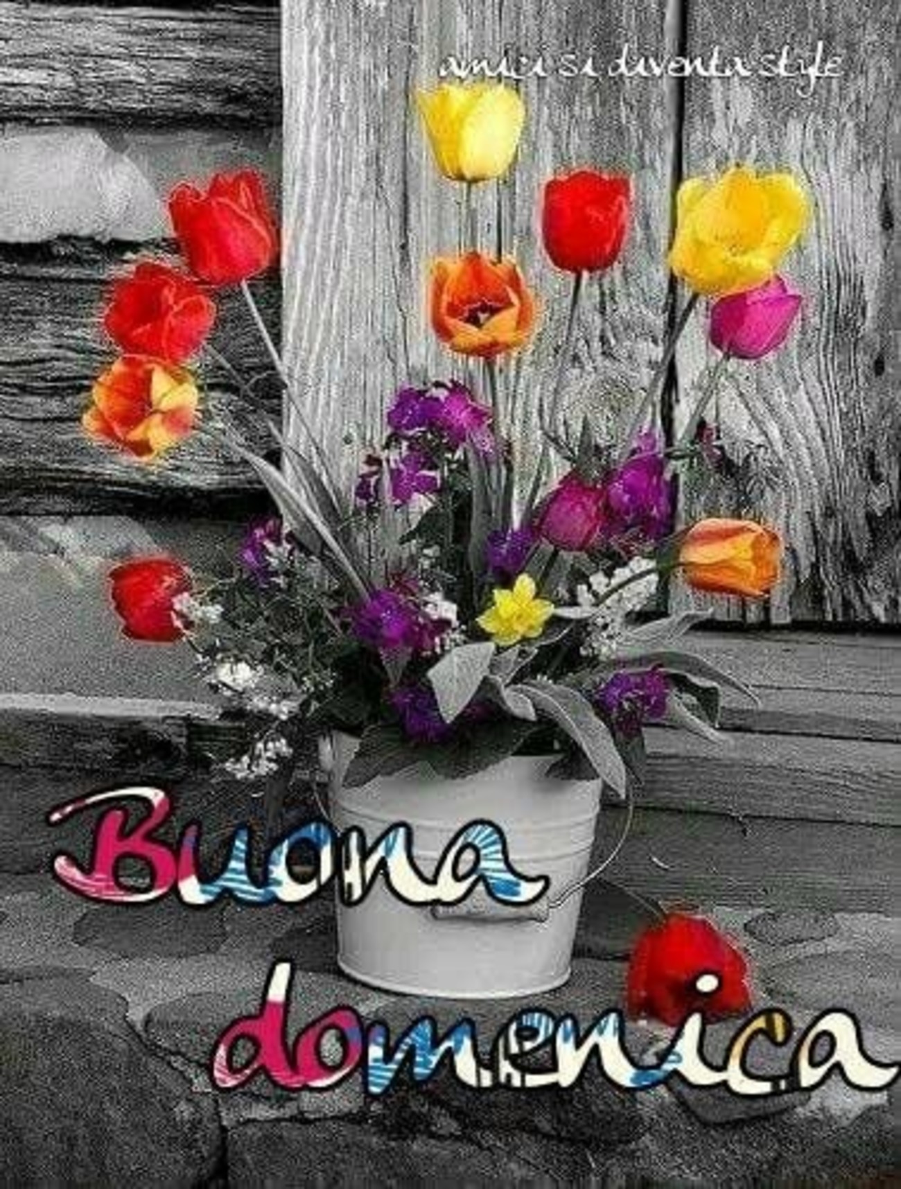 Buona Domenica in bianco e nero