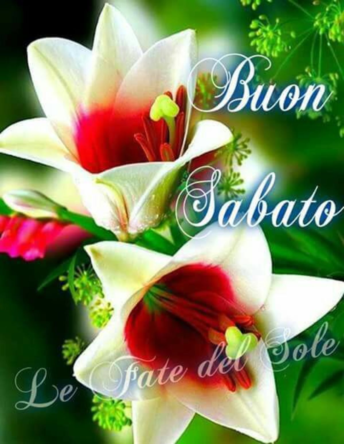 Immagini Di Buon Sabato E Felice Weekend Buongiorno Cloud