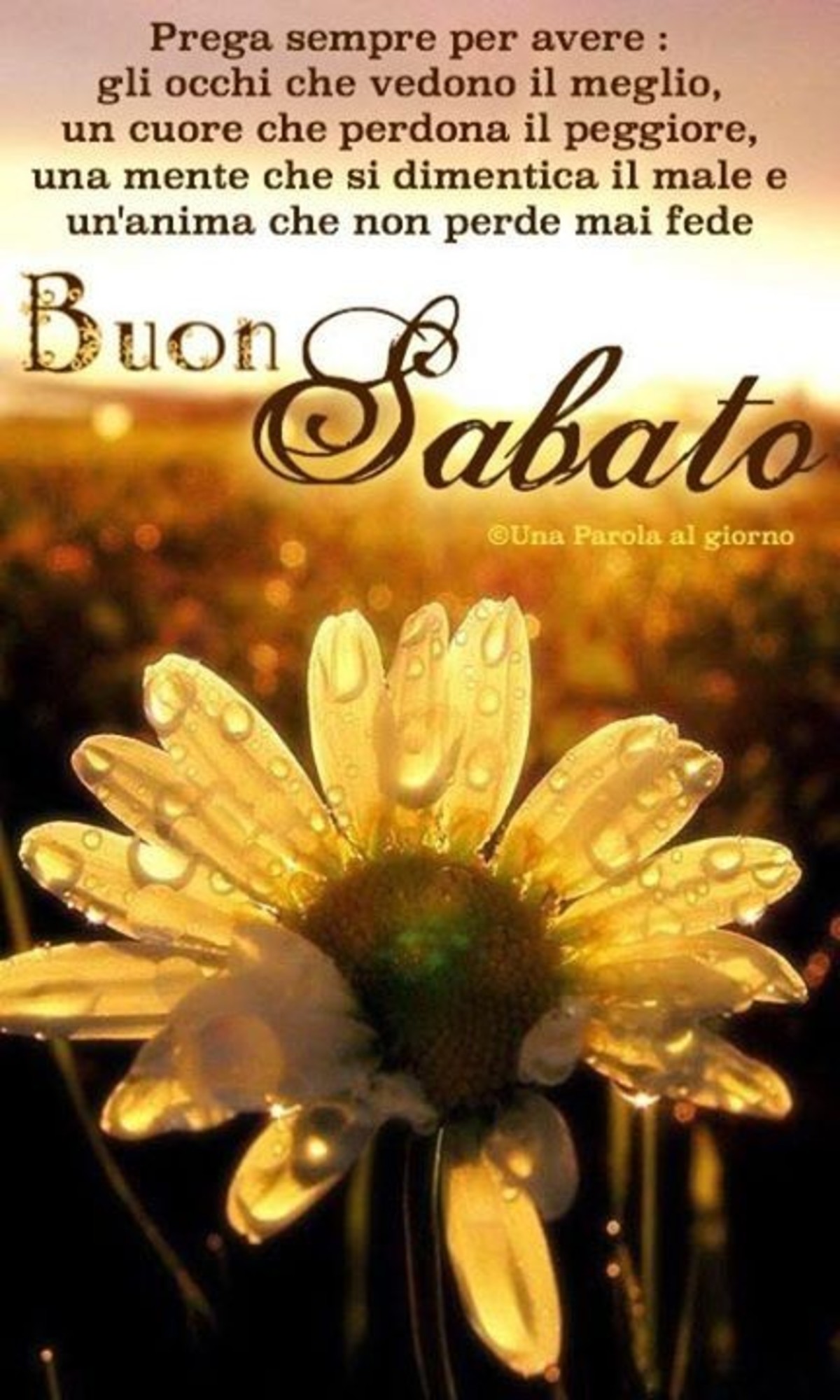 Prega sempre per avere: gli occhi che vedono il meglio, un cuore che perdona il peggiore, una mente che si dimentica il male e un'anima che non perde mai fede. Buon Sabato