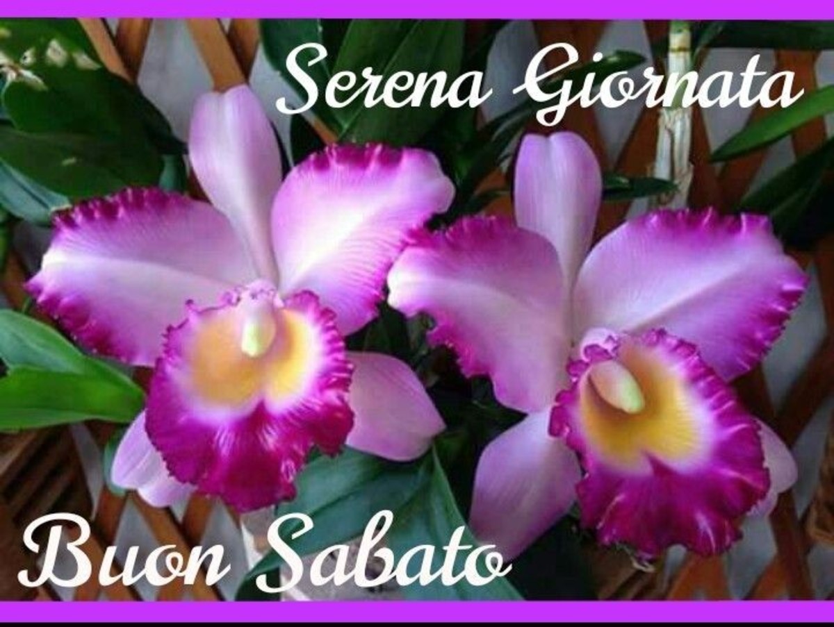 Serena giornata Buon Sabato