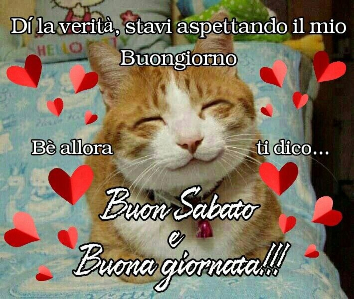 Dì la verità... stavi aspettando il mio buongiorno... bhè allora te lo dico... Buongiorno e Buon Sabato