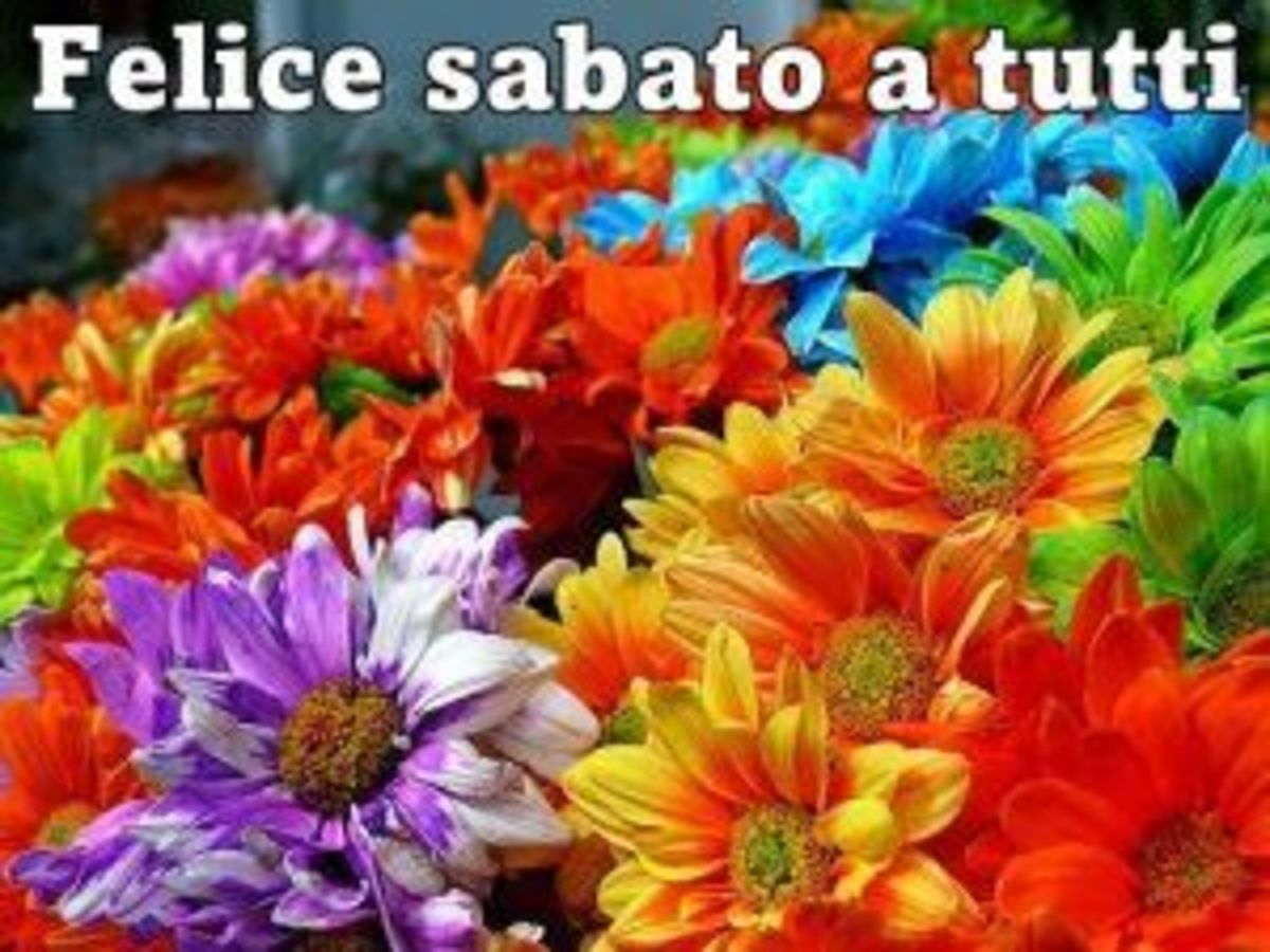 Felice Sabato a tutti coi fiori