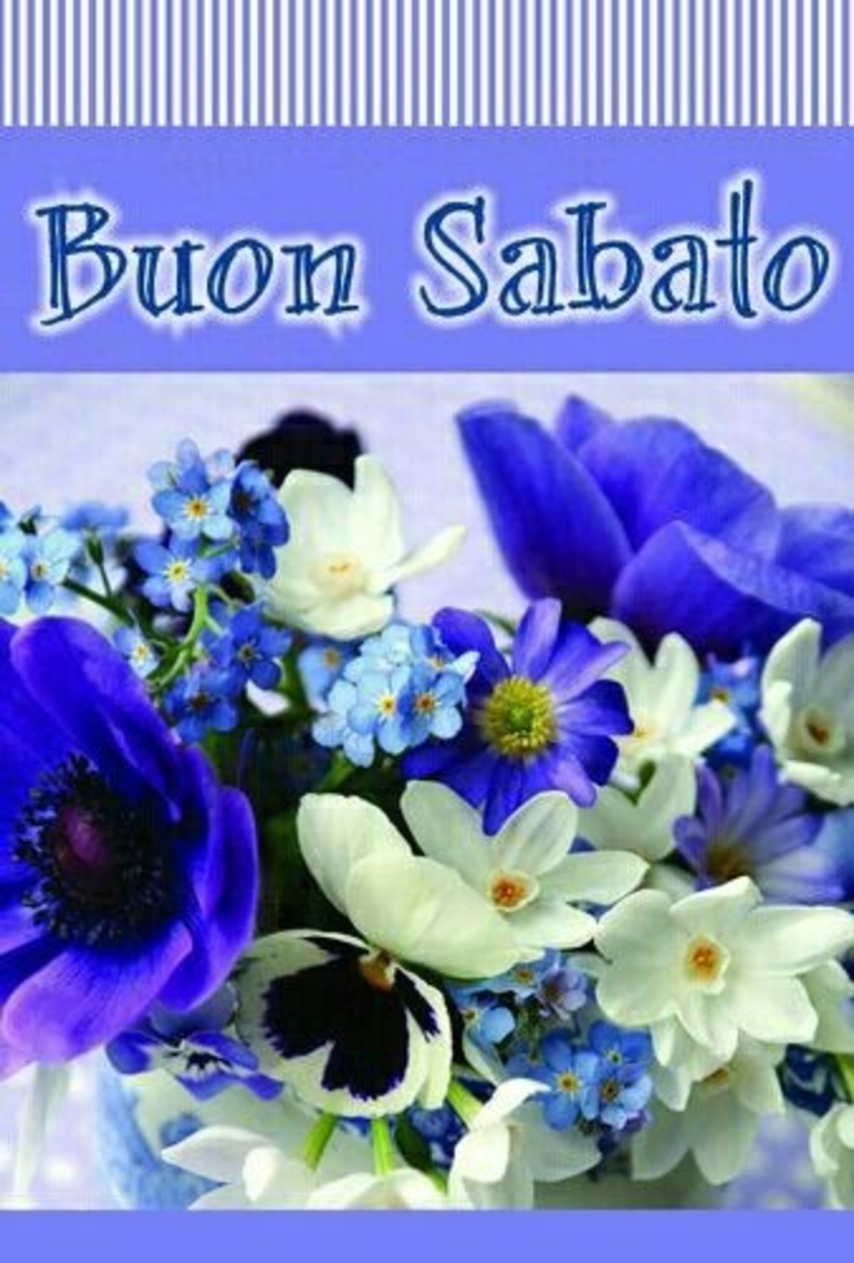 Buon Sabato link coi fiori