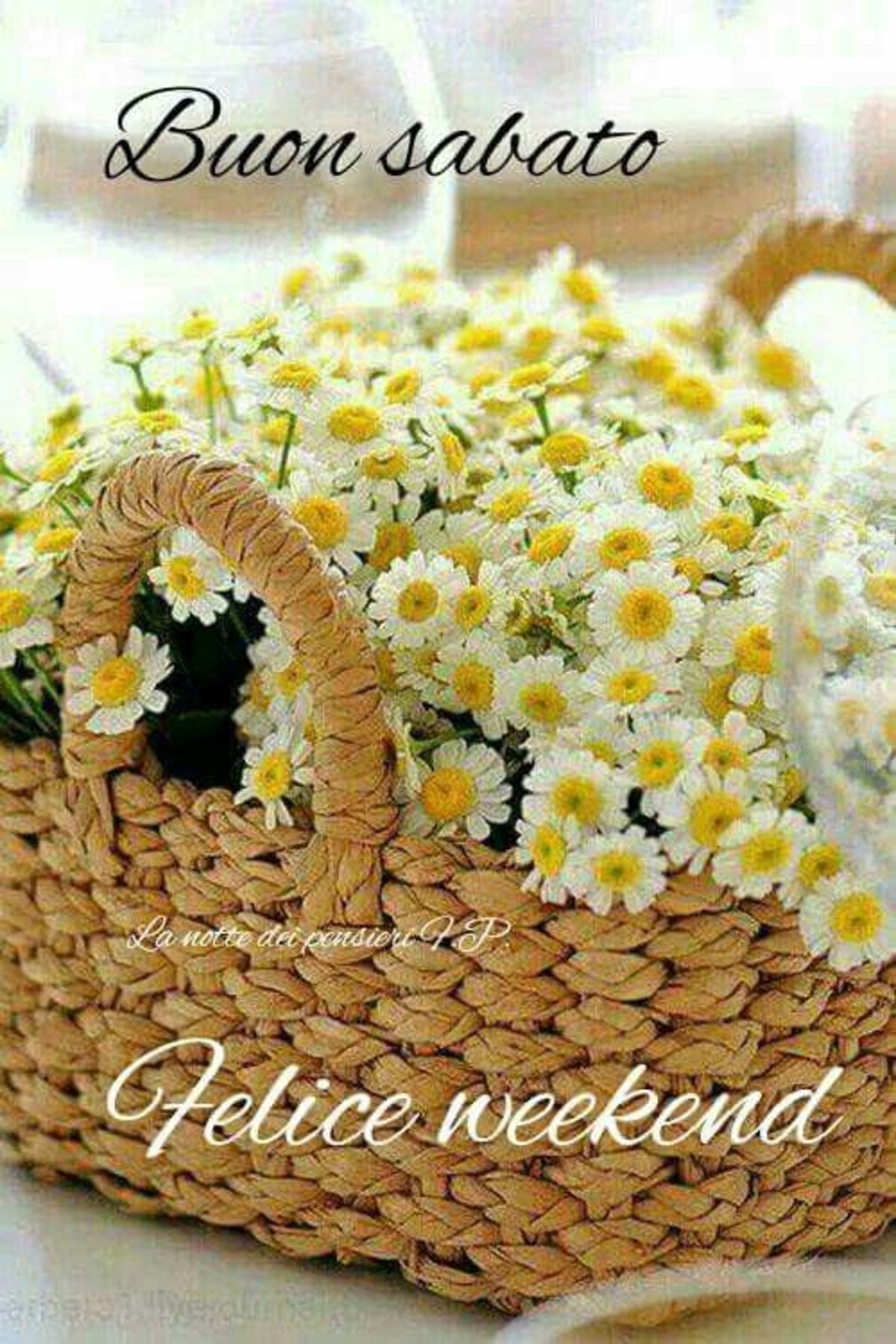 Buon Sabato Felice Weekend con le margherite