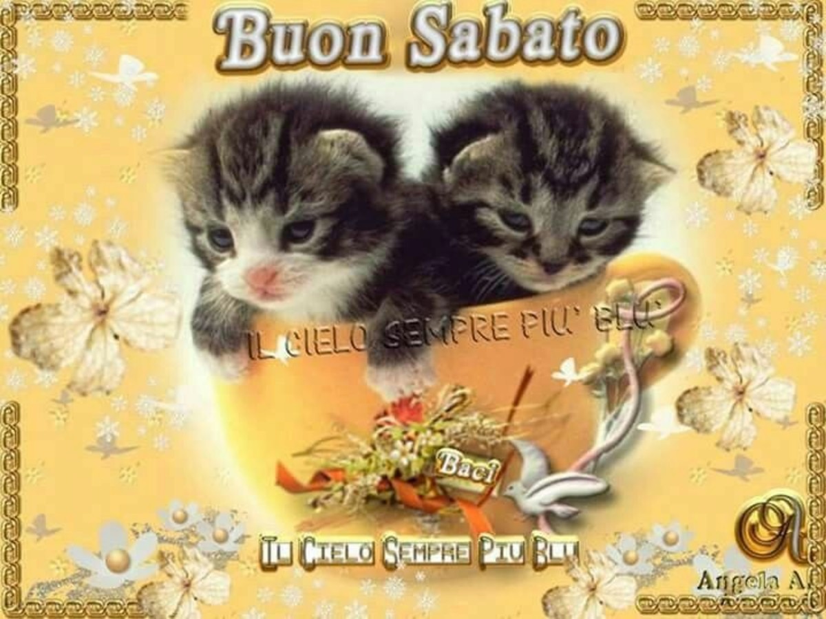 Buon Sabato con gli animali