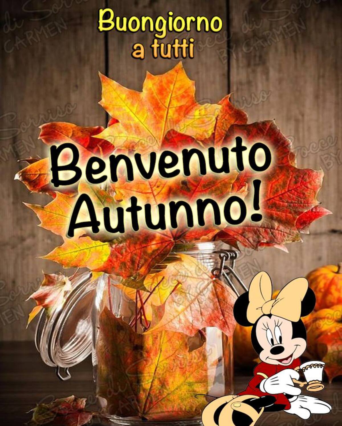 Buongiorno a tutti Benvenuto Autunno!