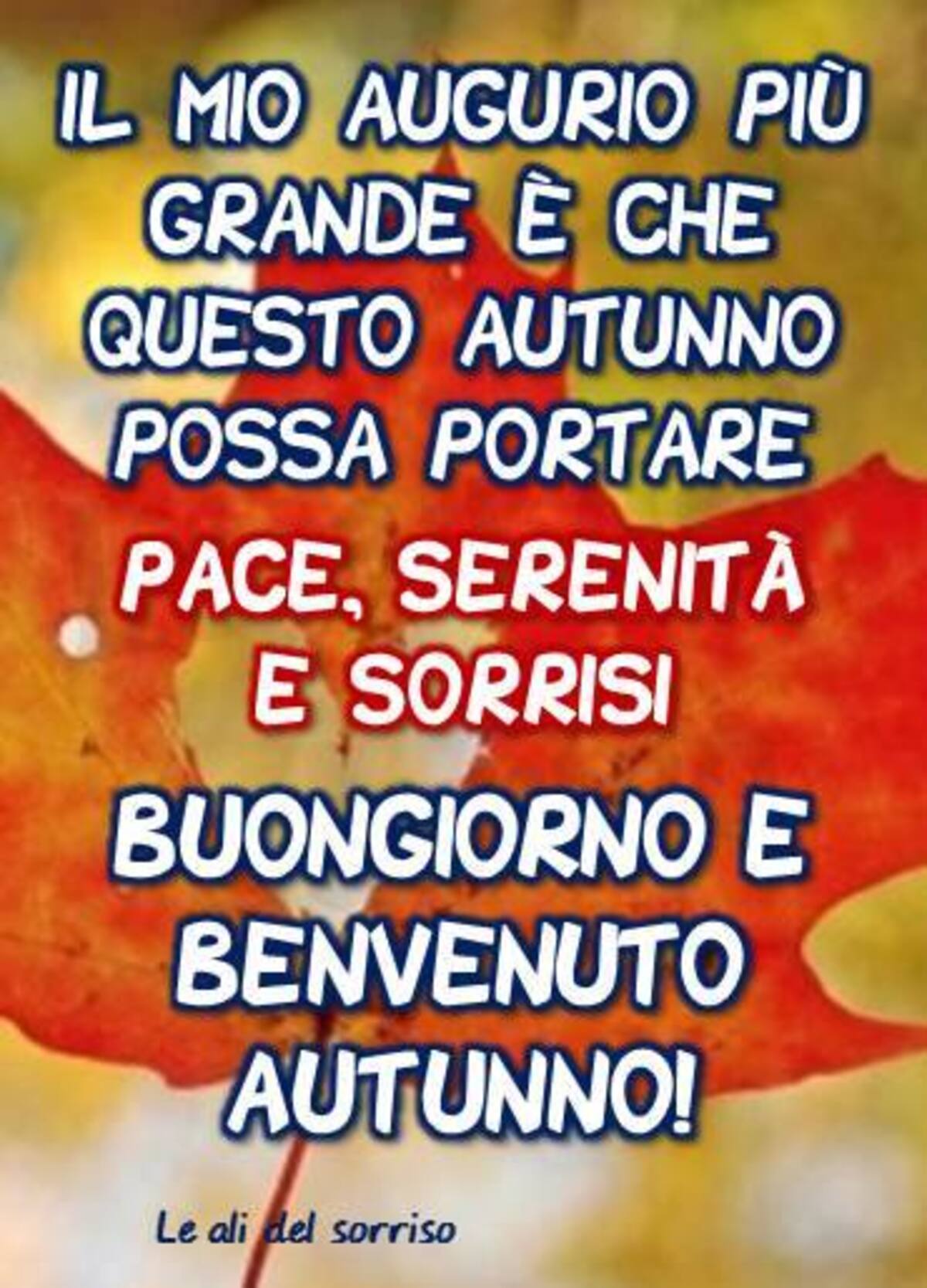 Il mio augurio più grande è che questo autunno possa portare pace, serenità e sorrisi Buongiorno e Benvenuto Autunno!