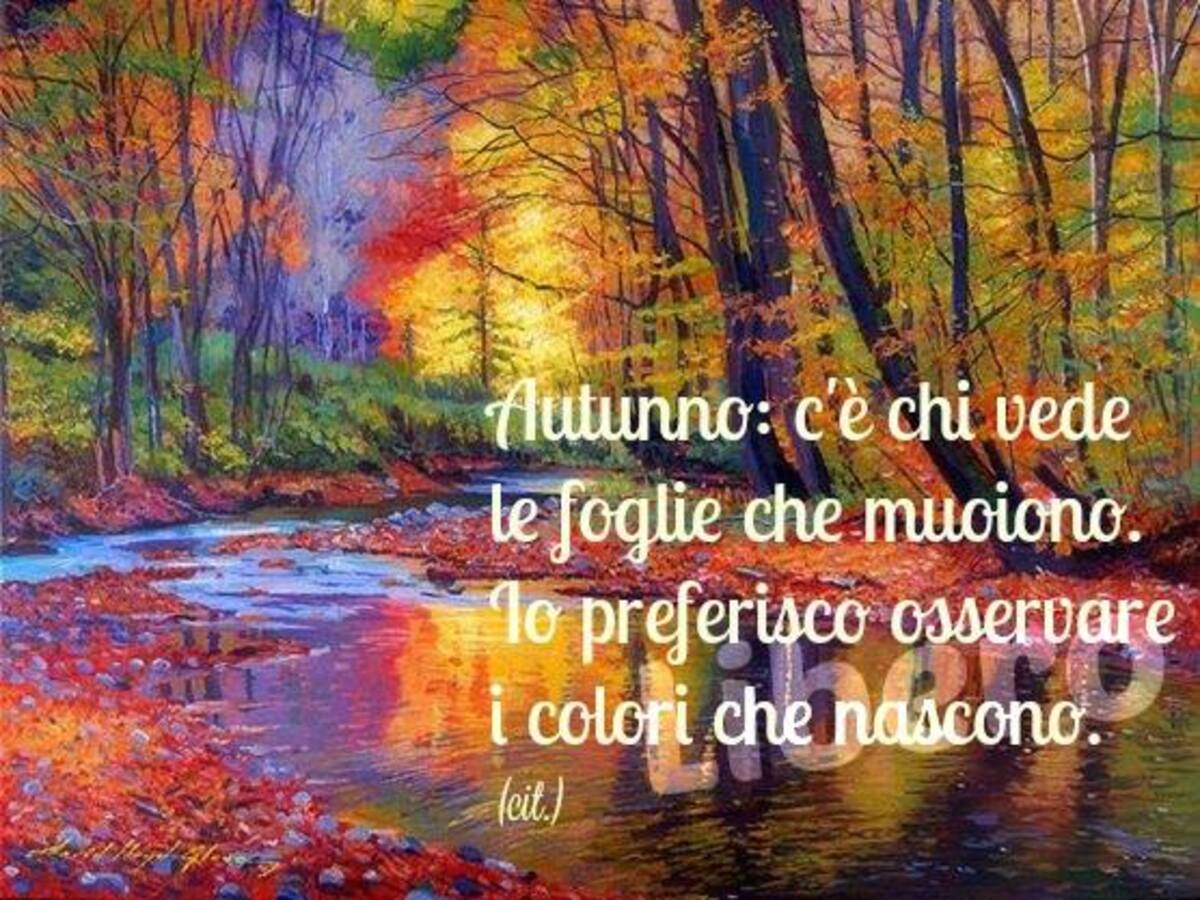 Autunno: c'è chi vede le foglie che muoiono, io preferisco osservare i colori che nascono.