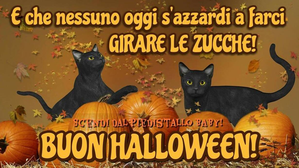 E che nessuno oggi si azzardi a farci girare le zucche ! BUON HALLOWEEN