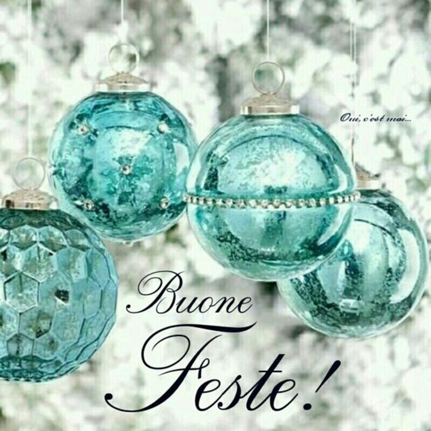 Buone Feste !