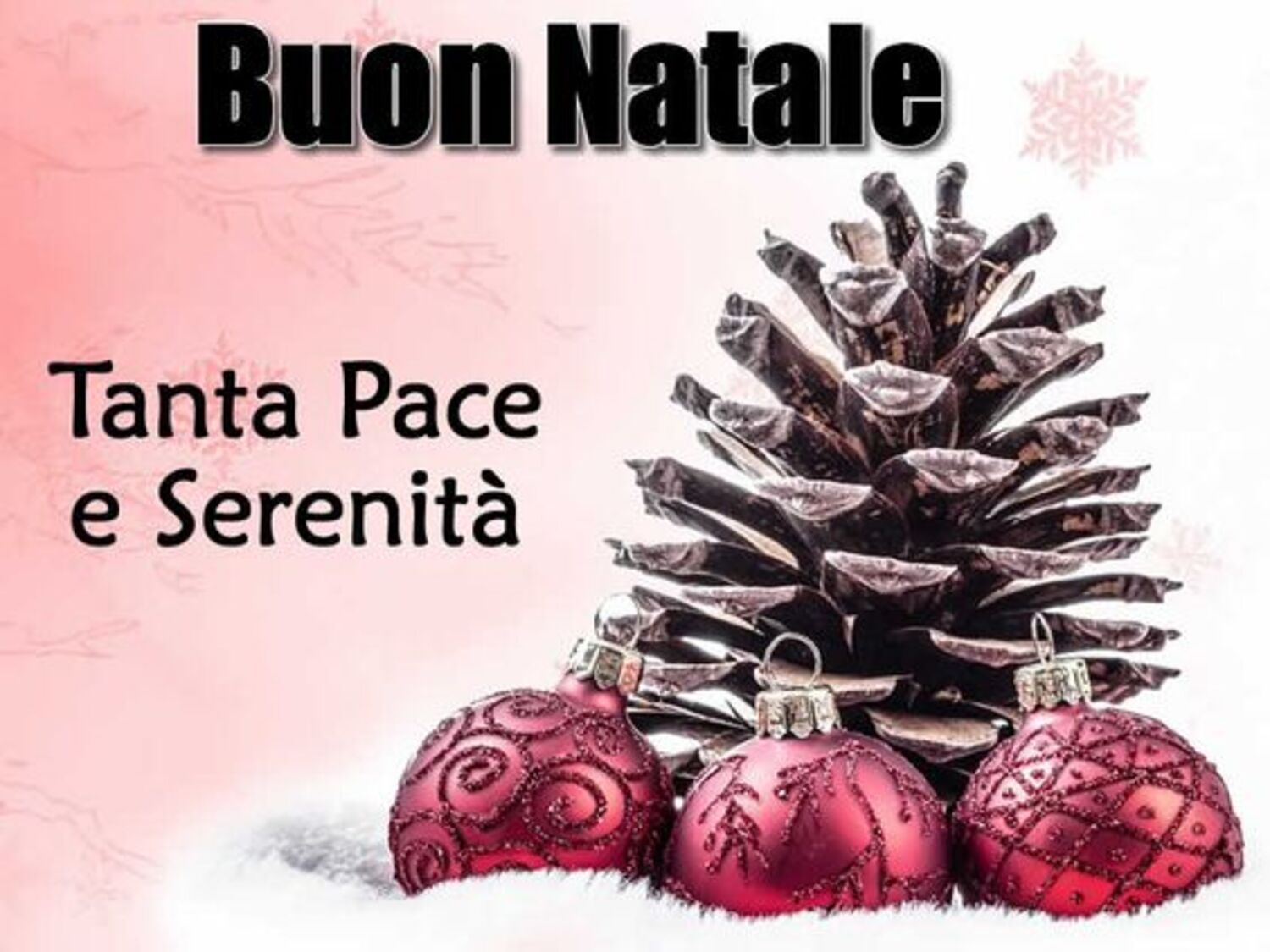 Buon Natale, Tanta pace e serenità