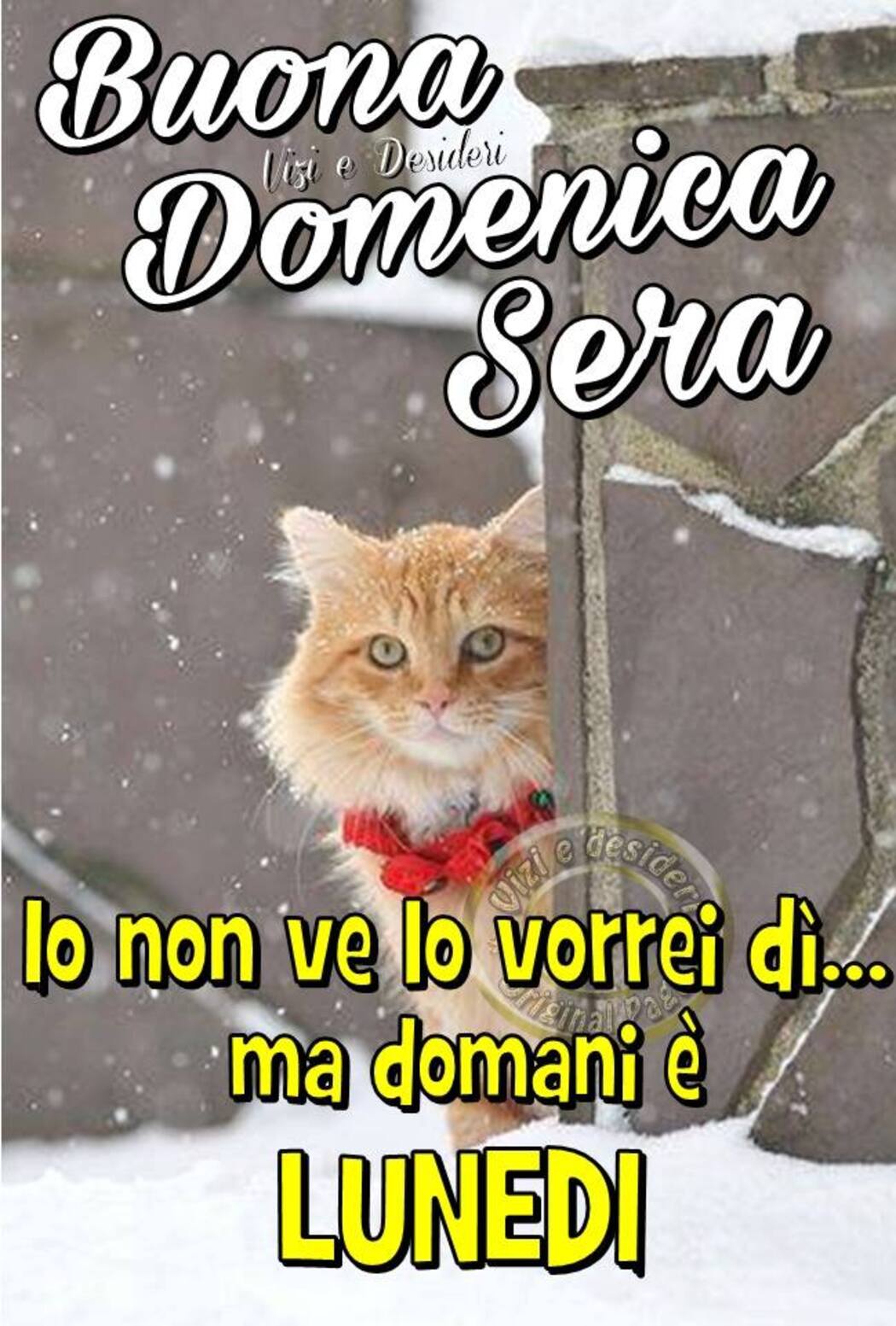 Buona Domenica Sera io non ve lo vorrei dì... ma domani è Lunedì!