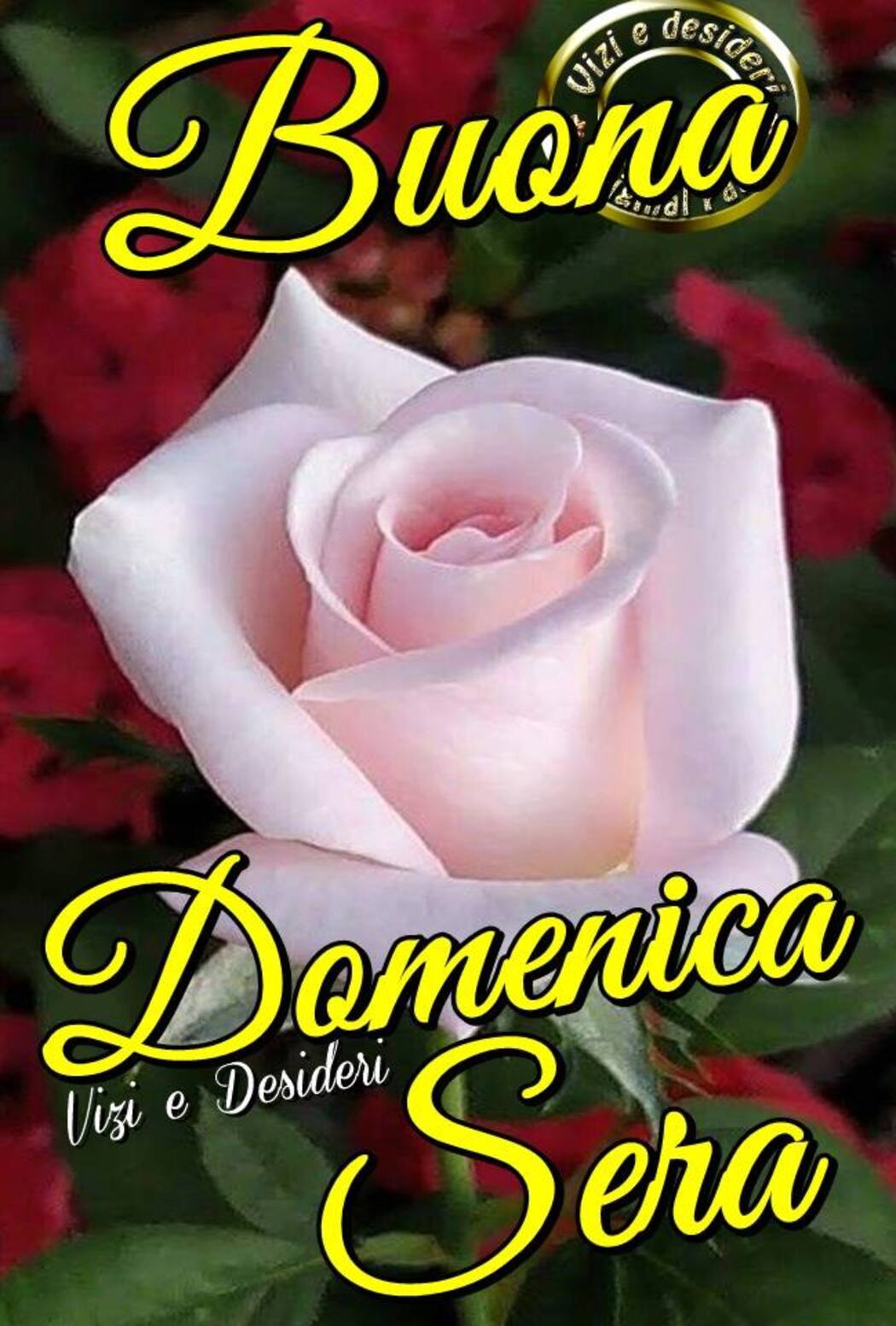 Buona Domenica Sera coi fiori