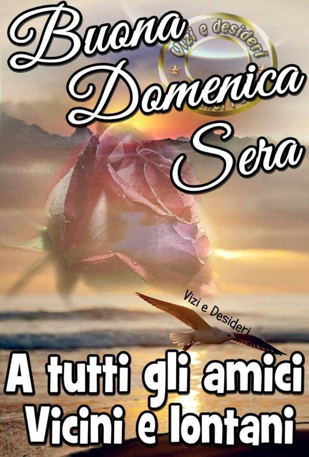 Buona Domenica Sera a tutti gli amici vicini e lontani