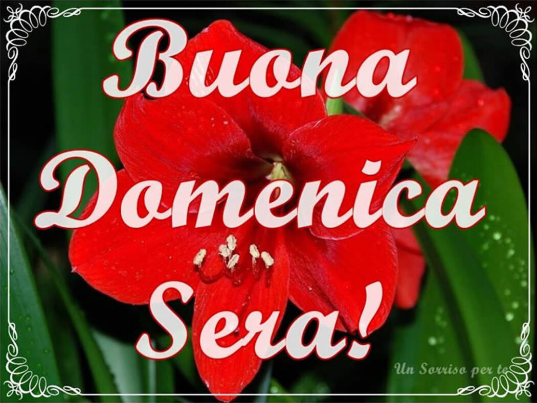 Buona Domenica Sera!