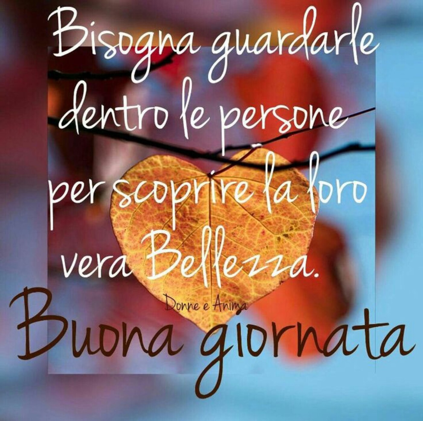 Bisogna guardarle dentro le persone per scoprire la loro vera bellezza. Buona Giornata