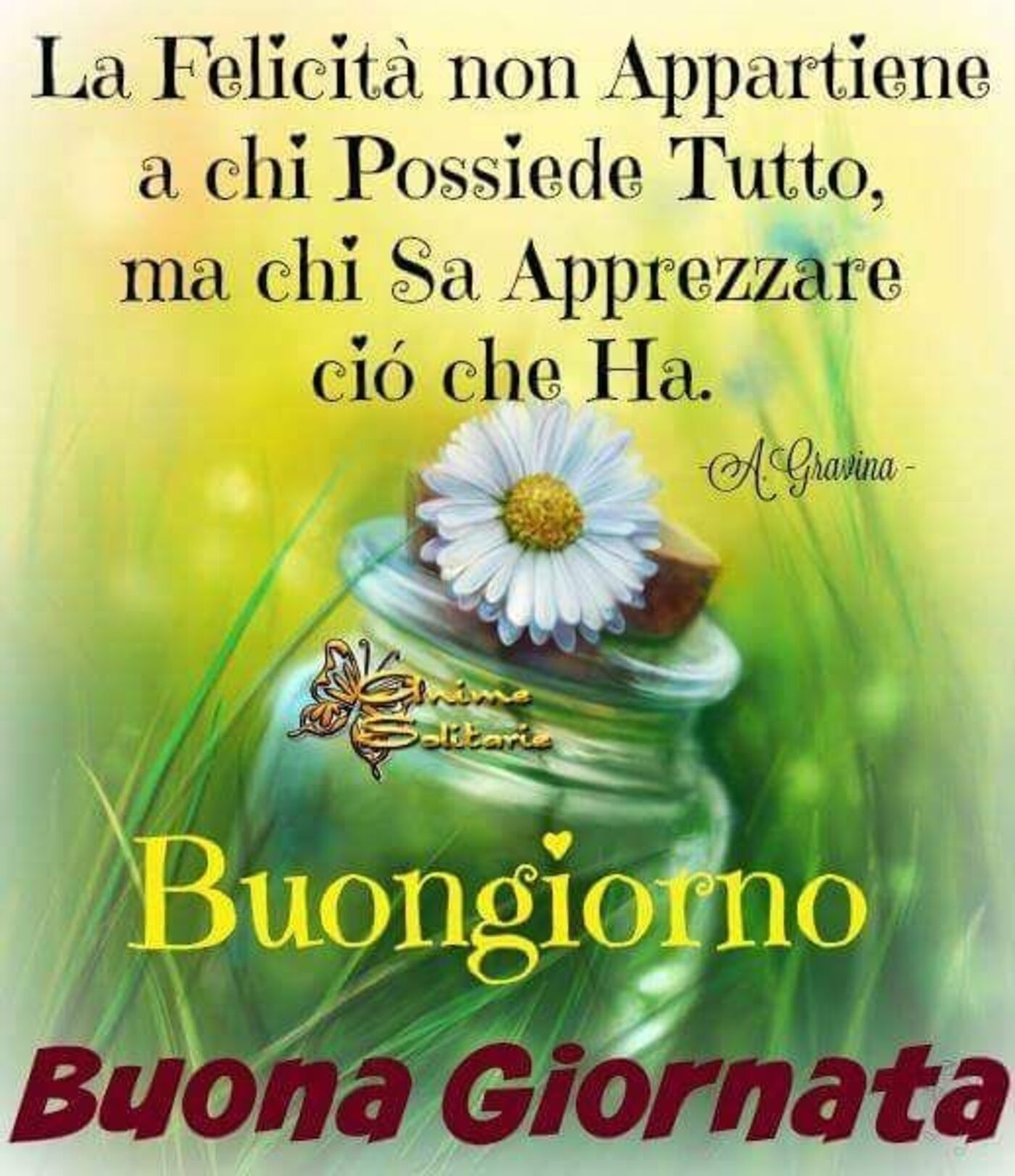 La felicità non appartiene a chi possiede tutto, ma a chi sa apprezzare ciò che ha. Buongiorno Buona Giornata