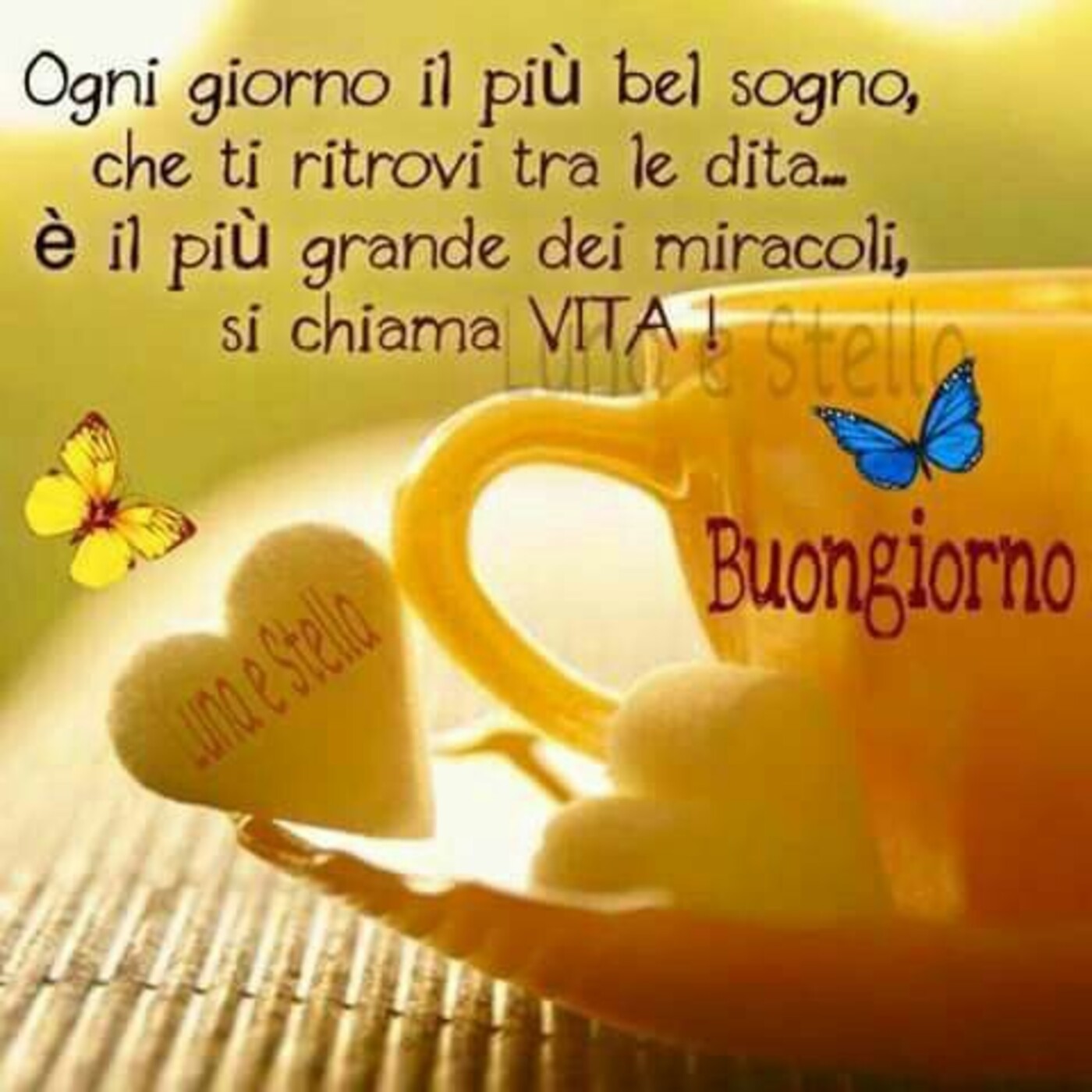 Ogni giorno il più bel sogno che ti ritrovi tra le dita... è il più grande dei miracoli, si chiama VITA! Buongiorno