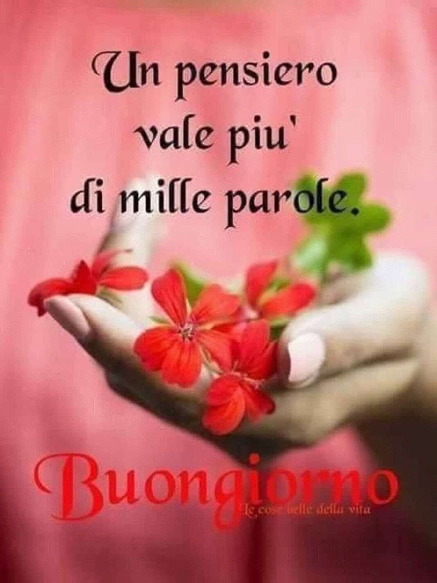 Un pensiero vale più di mille parole. Buongiorno