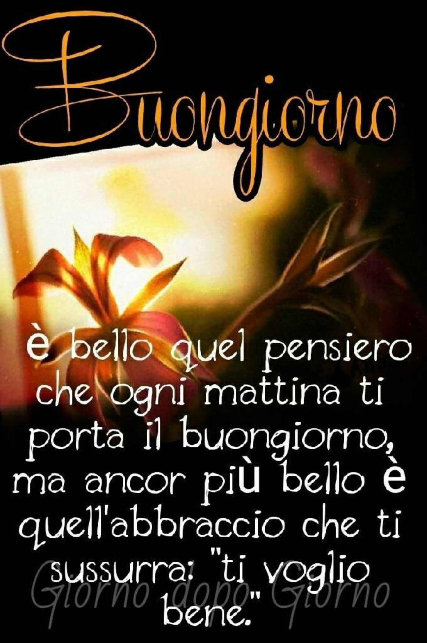 Buongiorno, è bello quel pensiero che ogni mattina ti porta il Buongiorno, ma ancor più bello è quell'abbraccio che ti sussurra:" Ti voglio bene"