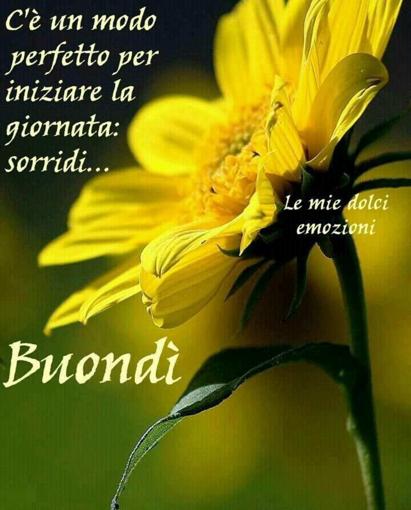 Frasi per Buongiorno