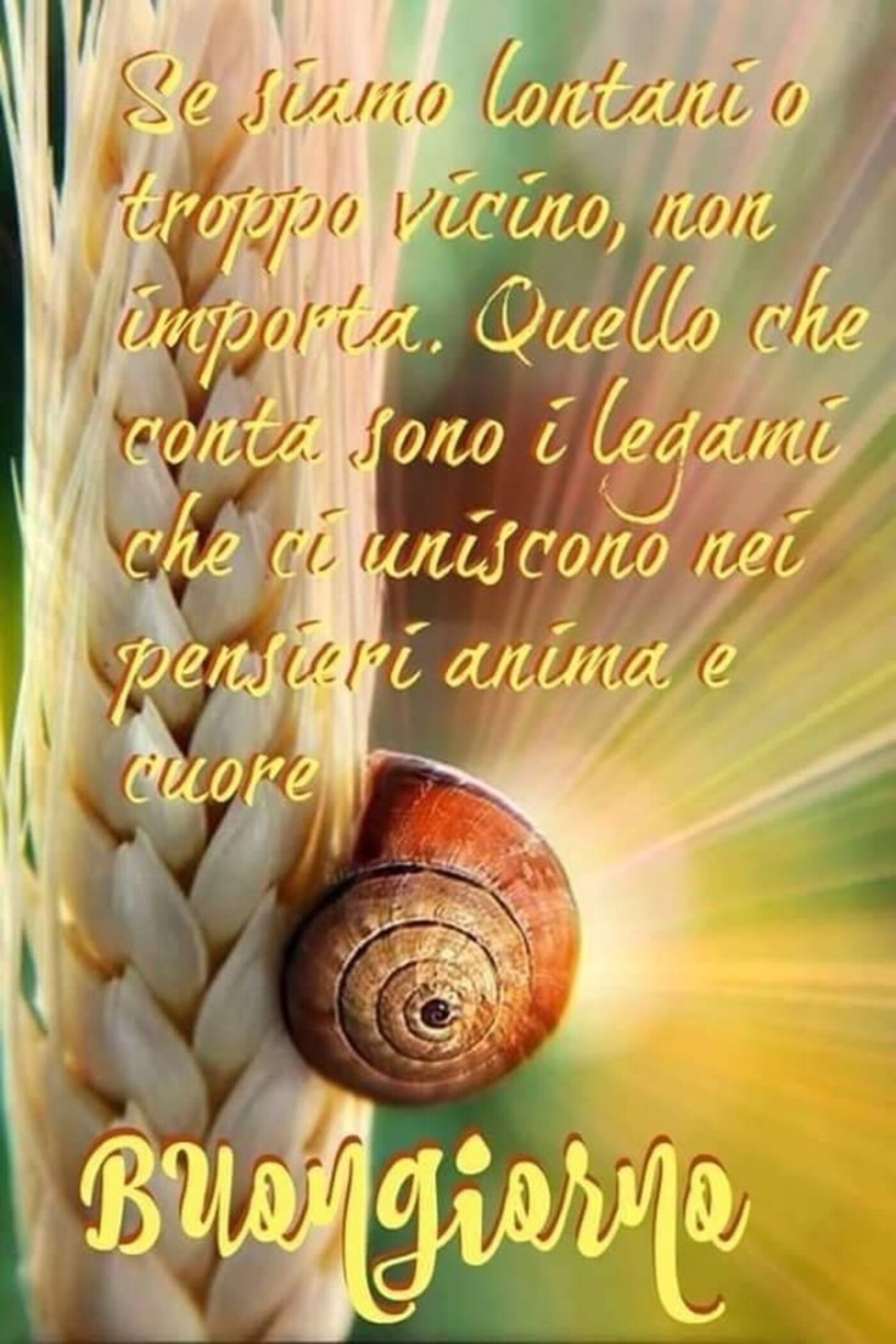 "Se siamo troppo lontani o troppo vicini non importa... Buongiorno"