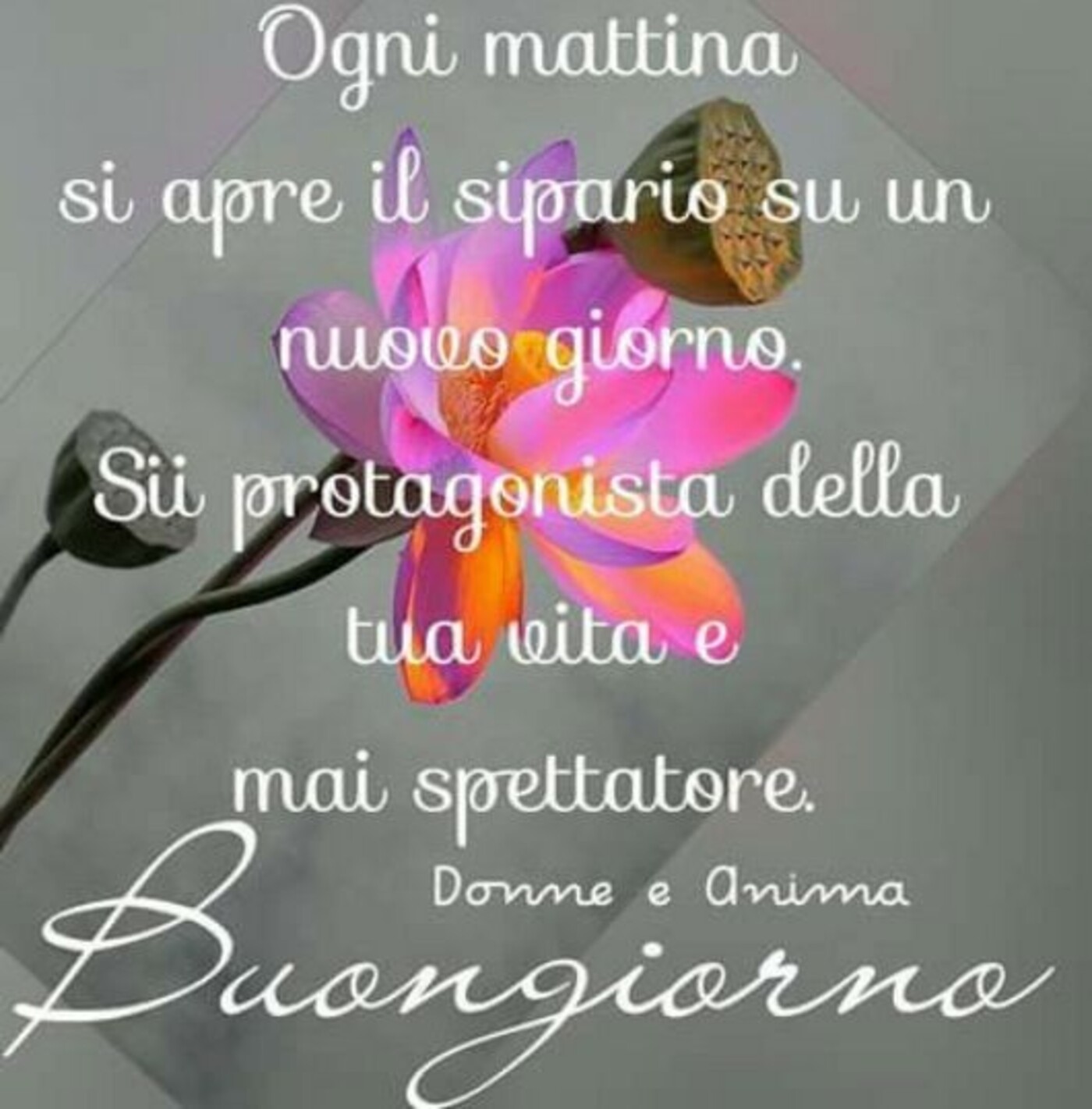 "Ogni mattina si apre il sipario su un nuovo giorno... Buongiorno"