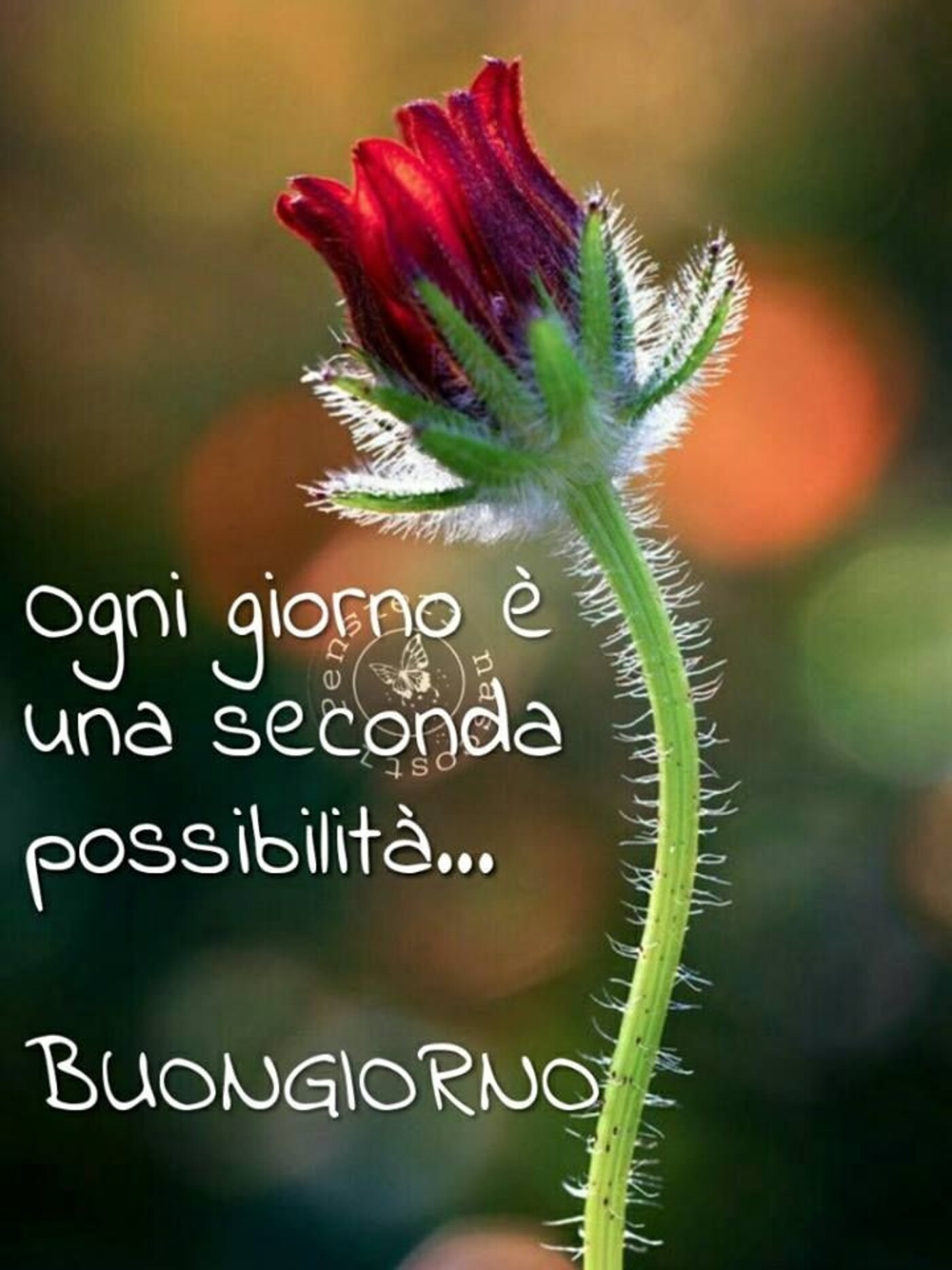 Ogni giorno è una seconda possibilità... Buongiorno