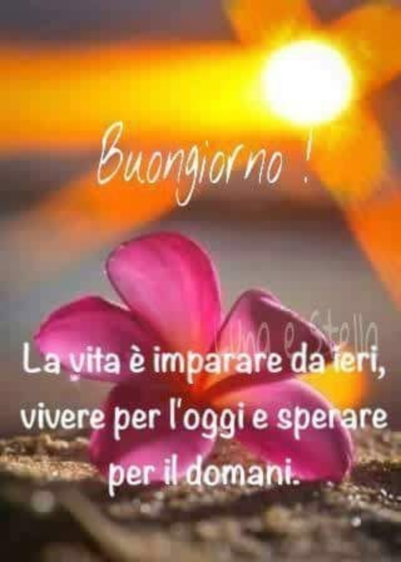 Buongiorno, la vita è imparare da ieri, vivere per oggi e sperare per il domani.