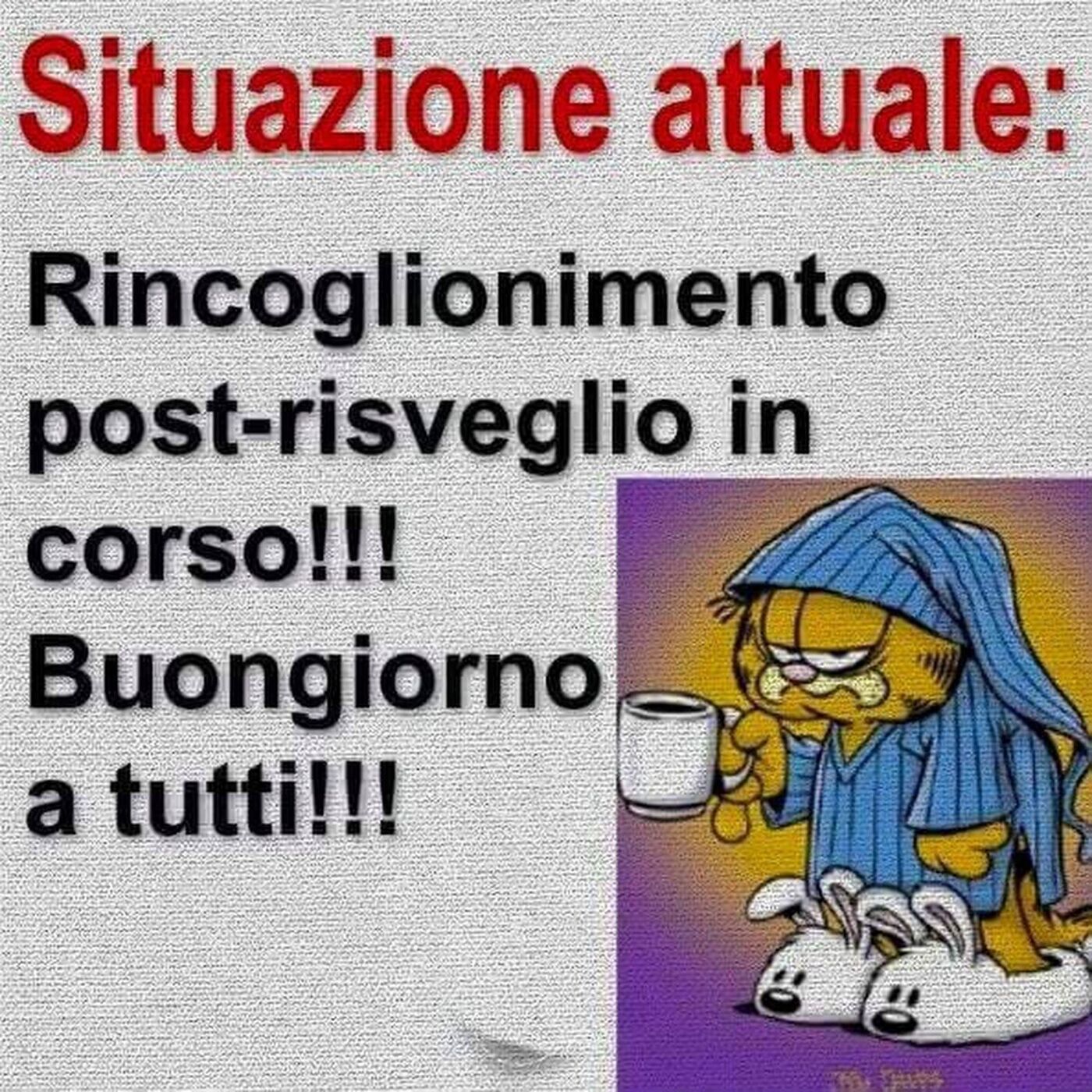 Buongiorno a tutti simpatico da Garfield