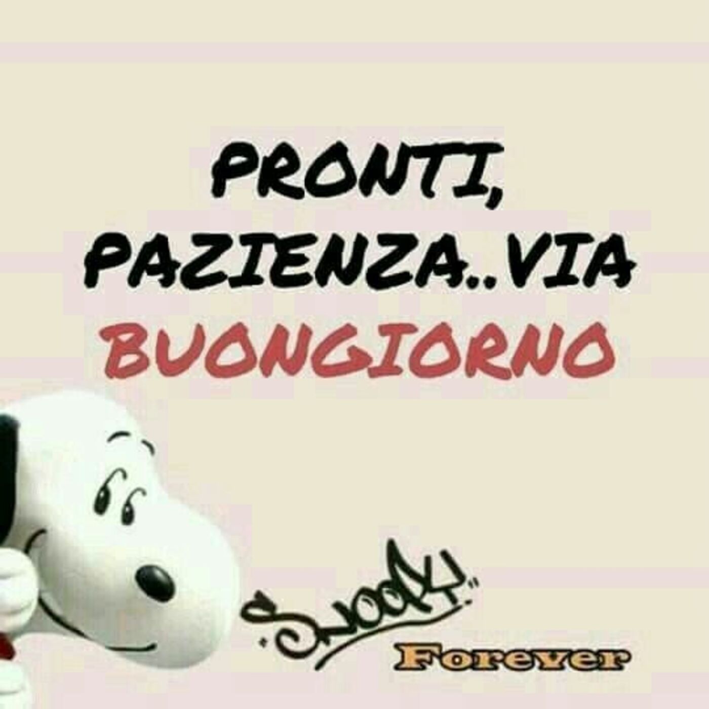 Pronti... Pazienza e Via !!! Buongiorno da Snoopy