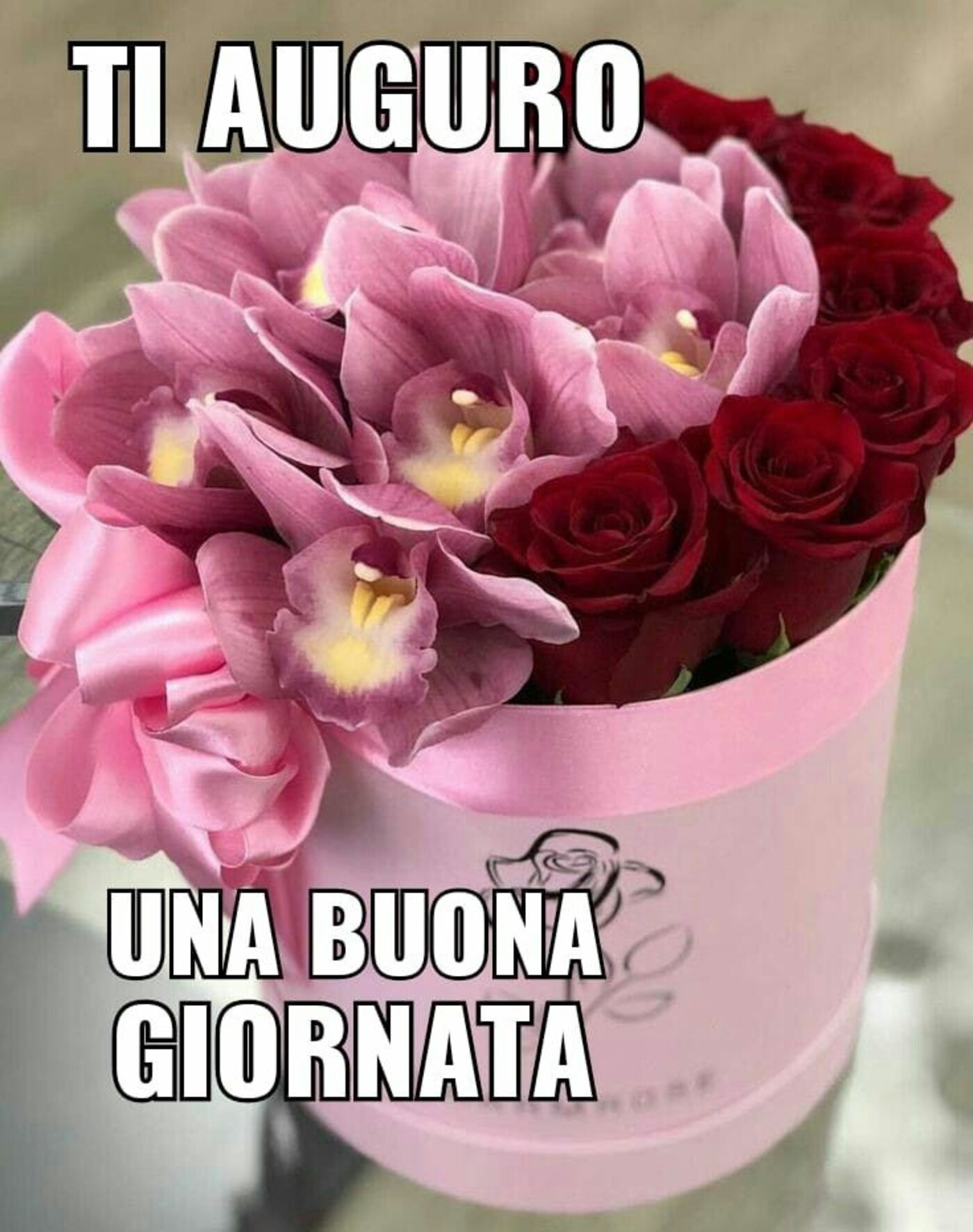 TI AUGURO UNA BUONA GIORNATA