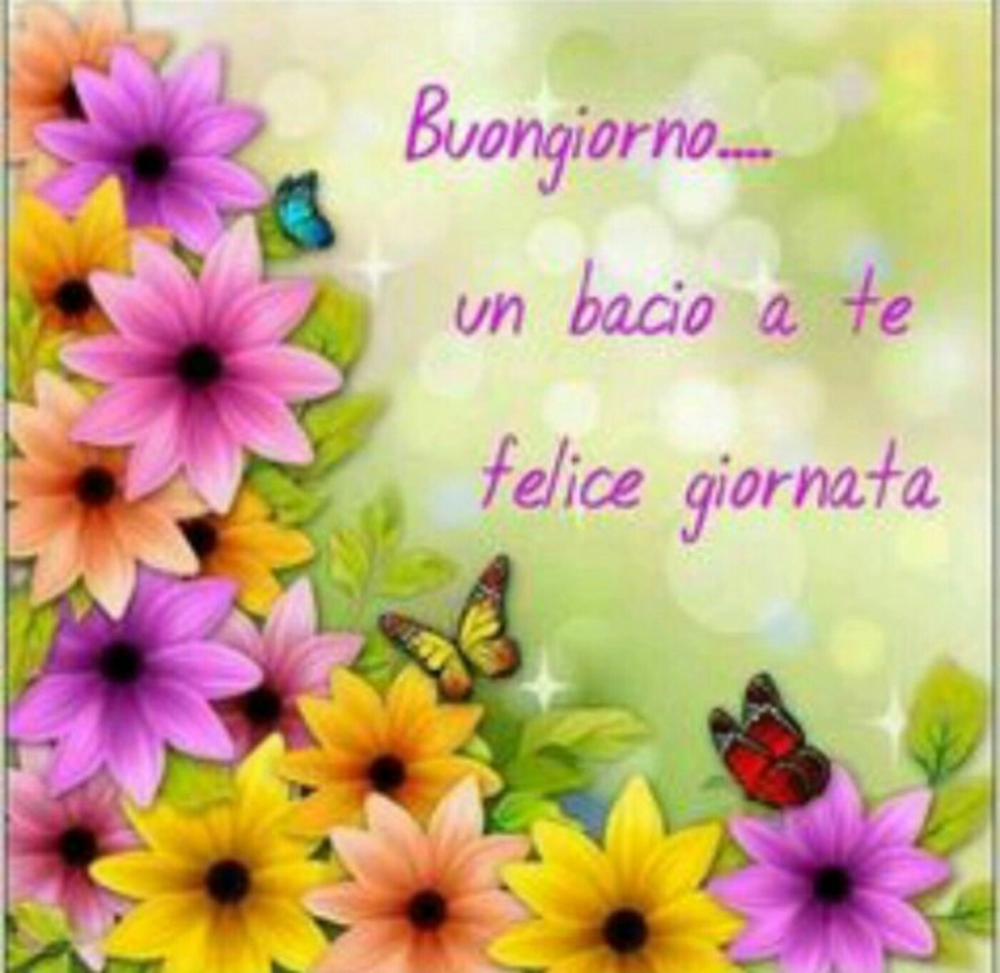 Buongiorno... un bacio a te Felice Giornata