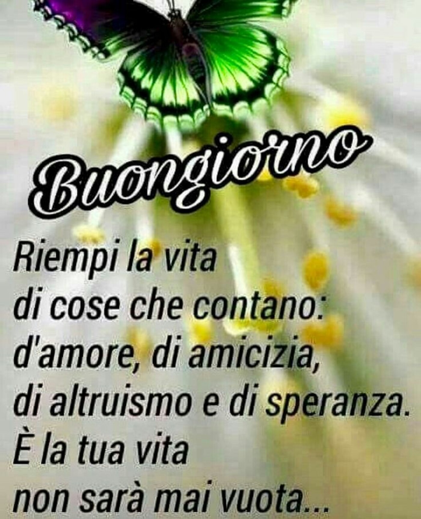 Buongiorno. Riempi la vita di cose che contano: d'amore, di amicizia, di altruismo e si speranza, e la tua vita non sarà mai vuota.