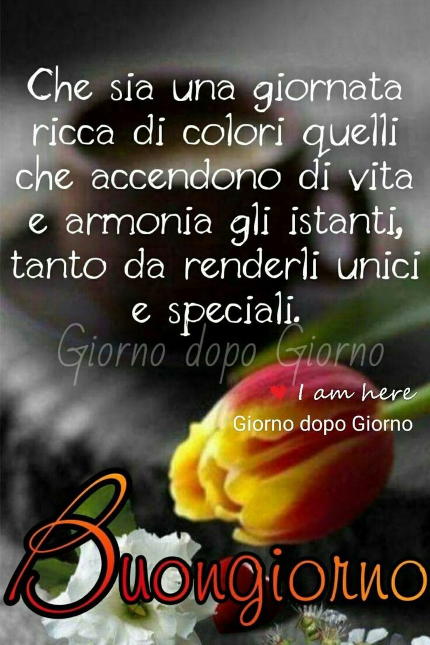 Che sia una giornata ricca di colori quelli che accendono la vita e armonia gli istanti, tanto da renderli unici e speciali. Buongiorno