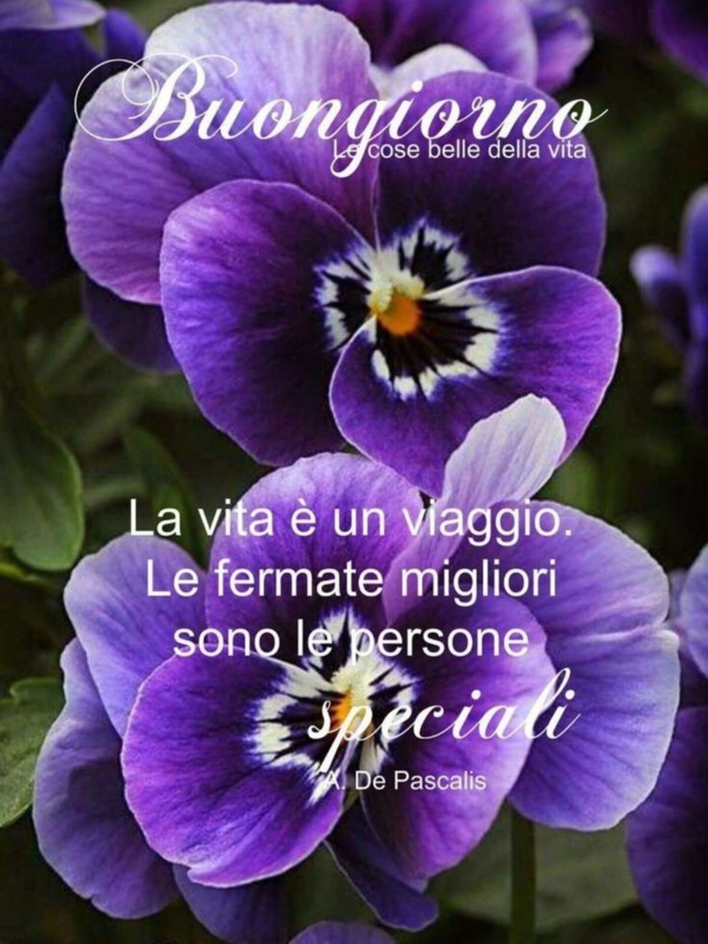 Buongiorno, la vita è un viaggio, le fermate migliori sono le persone.