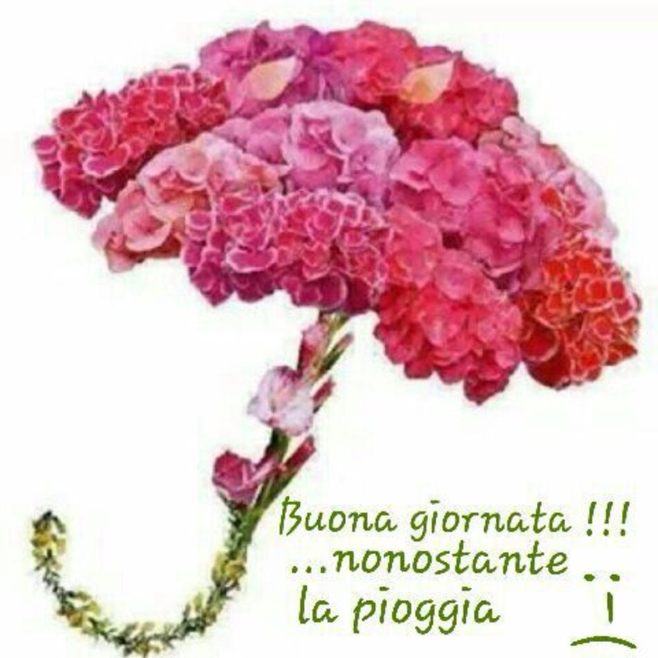 Buona Giornata !!! ...nonostante la pioggia...