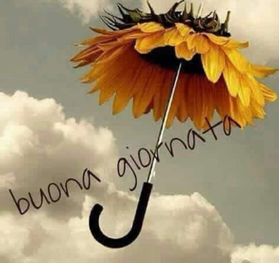 buona giornata