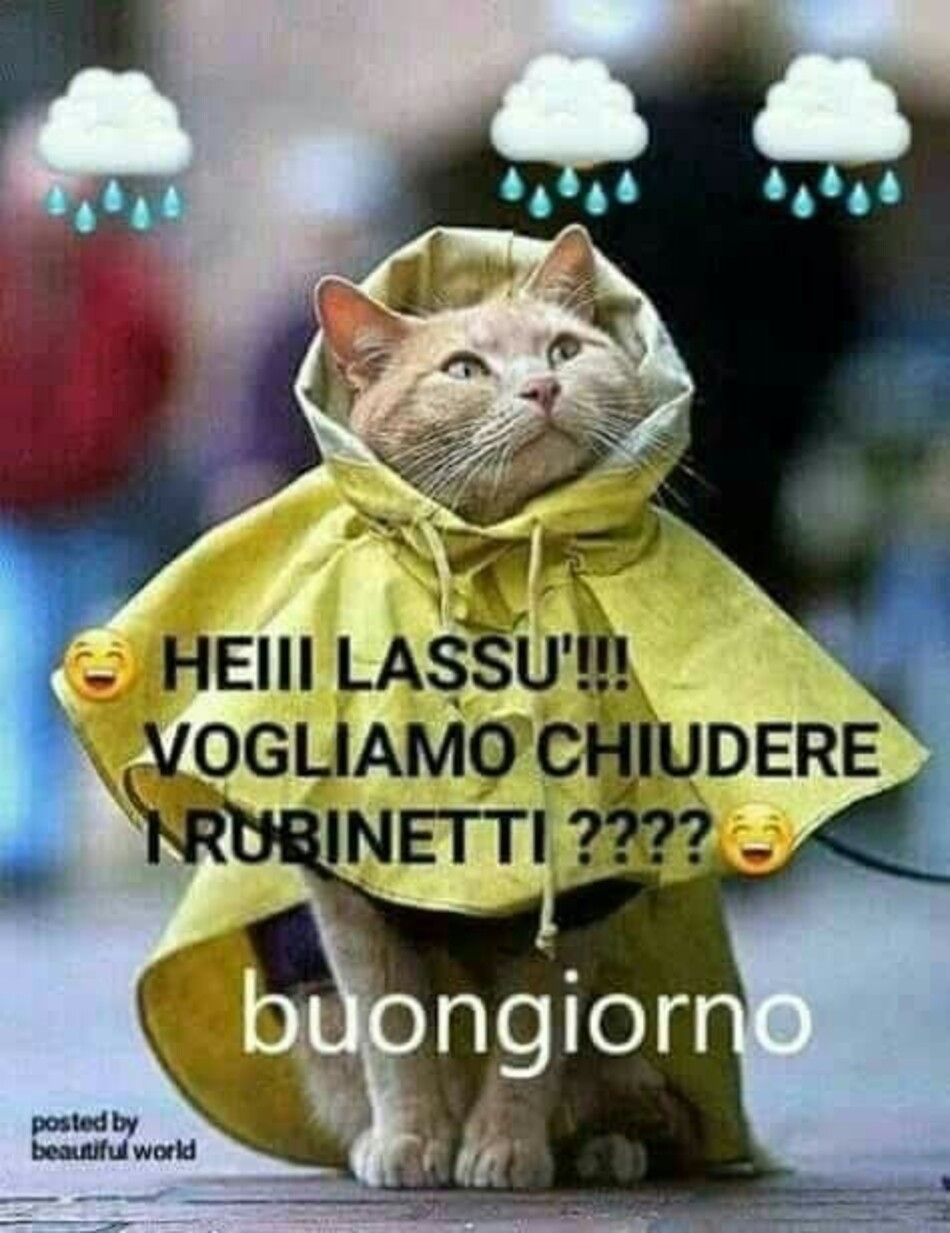 HEII LASSU' VOGLIAMO CHIUDERE I RUBINETTI ???? buongiorno immagini divertenti