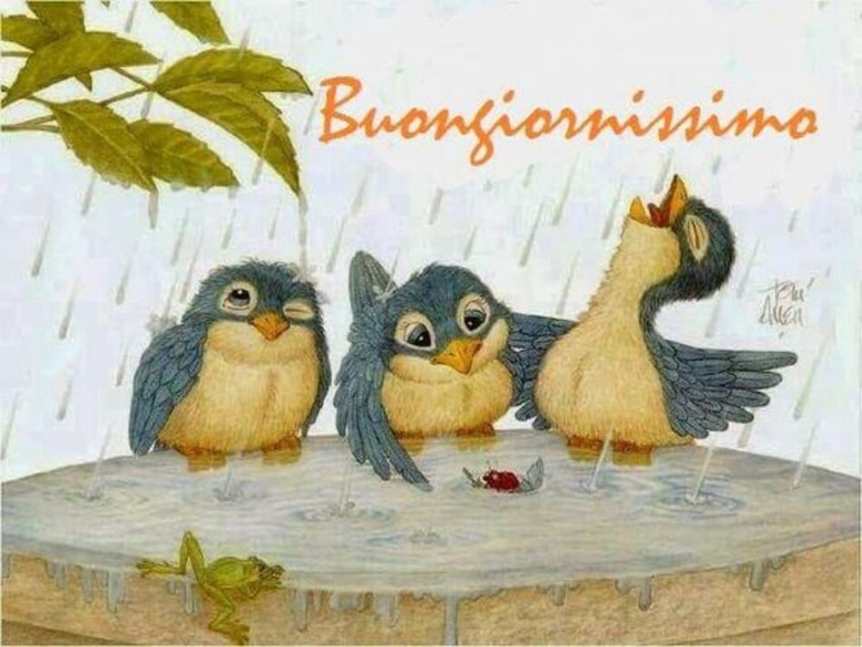 Buongiornissimo