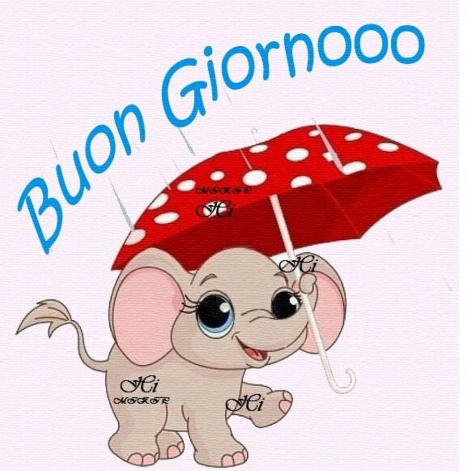 Buon Giornooo
