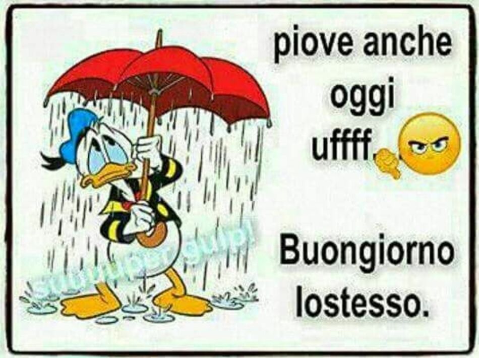 Piove anche oggi Uff... Buongiorno lo stesso (Paperino)