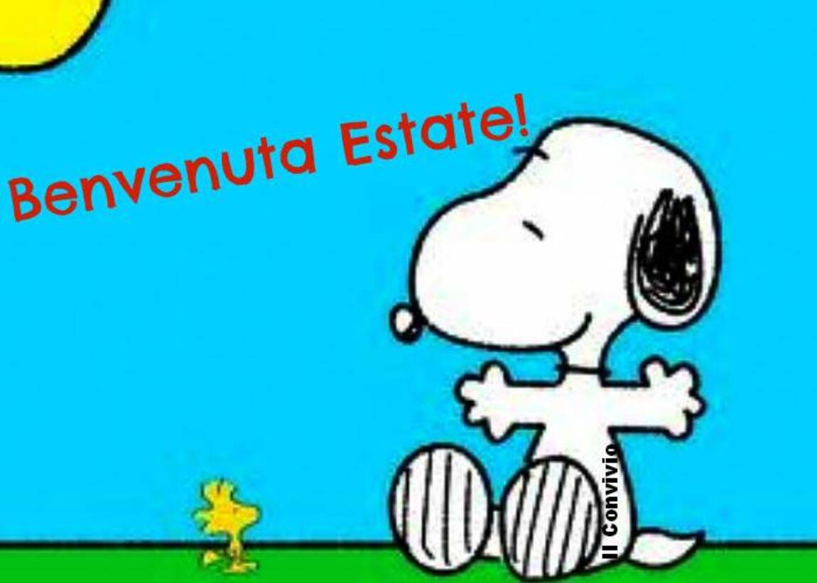 Benvenuta Estate Snoopy