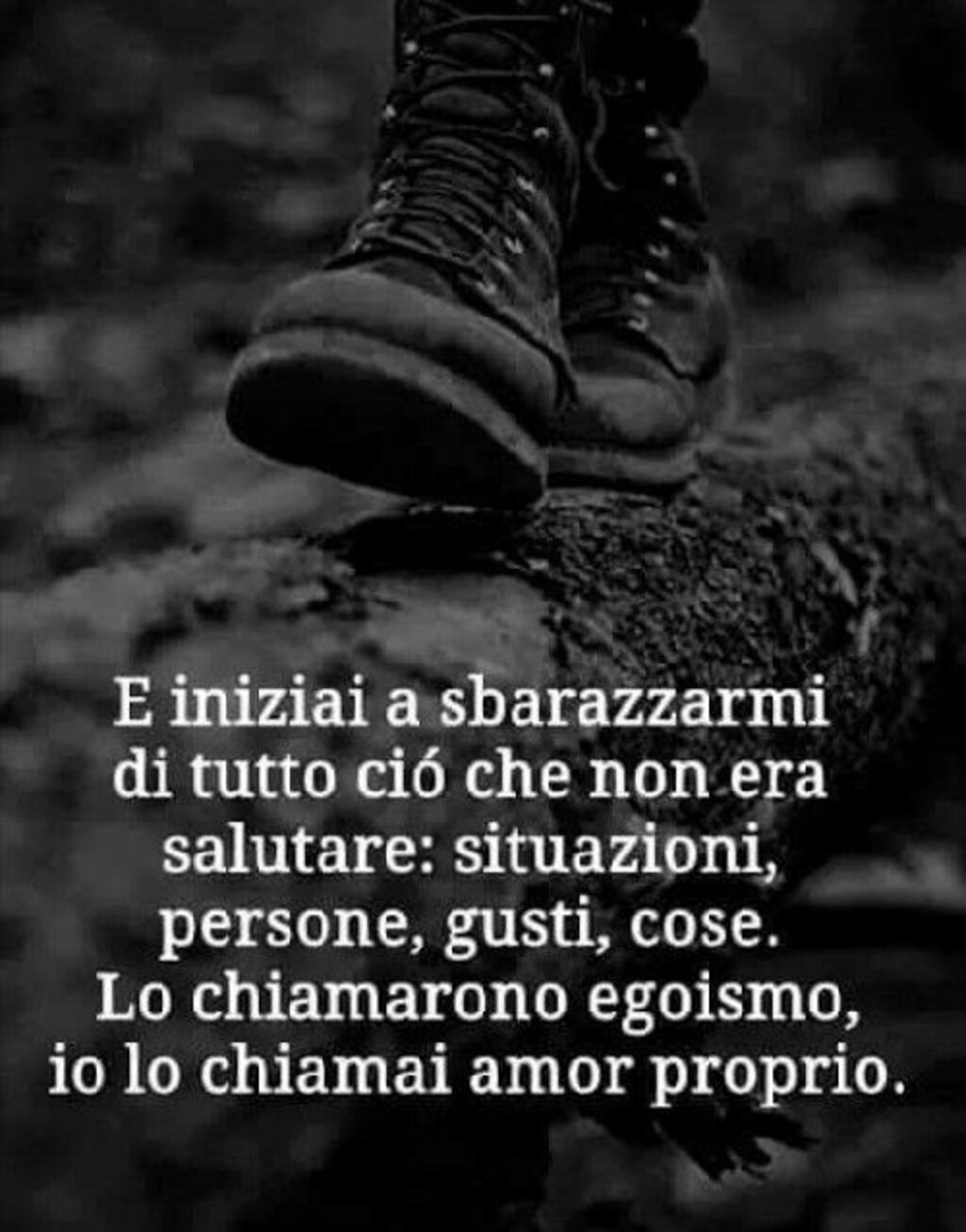 E iniziai a sbarazzarmi di tutto ciò che non era salutare: situazioni, persone, gusti, cose. Lo chiamarono egoismo, io lo chiamai amor proprio.